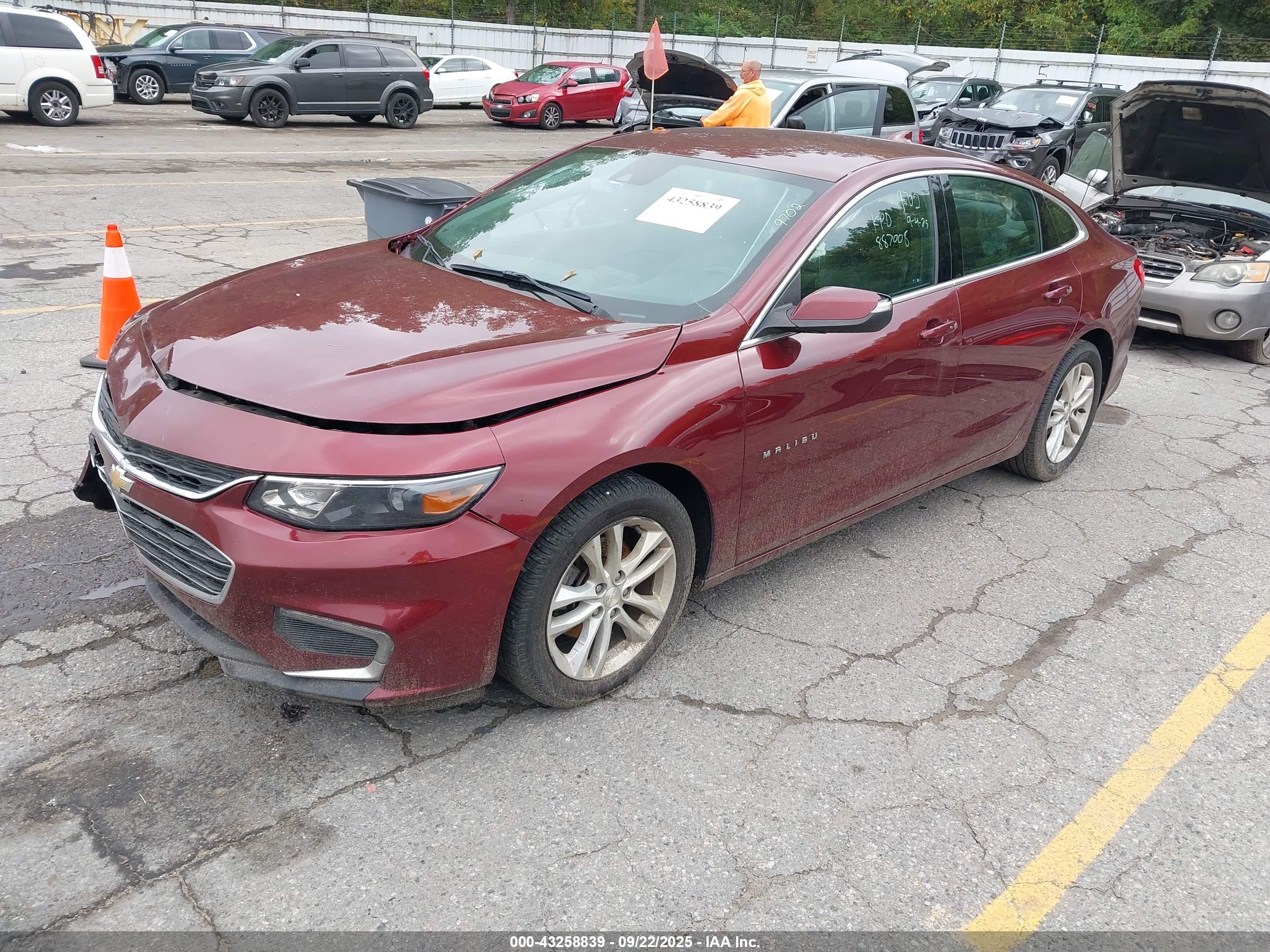 CHEVROLET MALIBU image 2