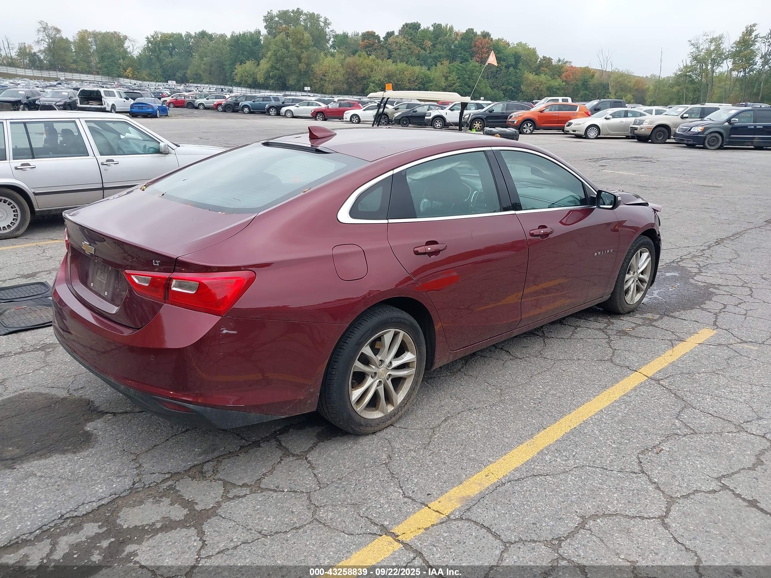 CHEVROLET MALIBU image 4