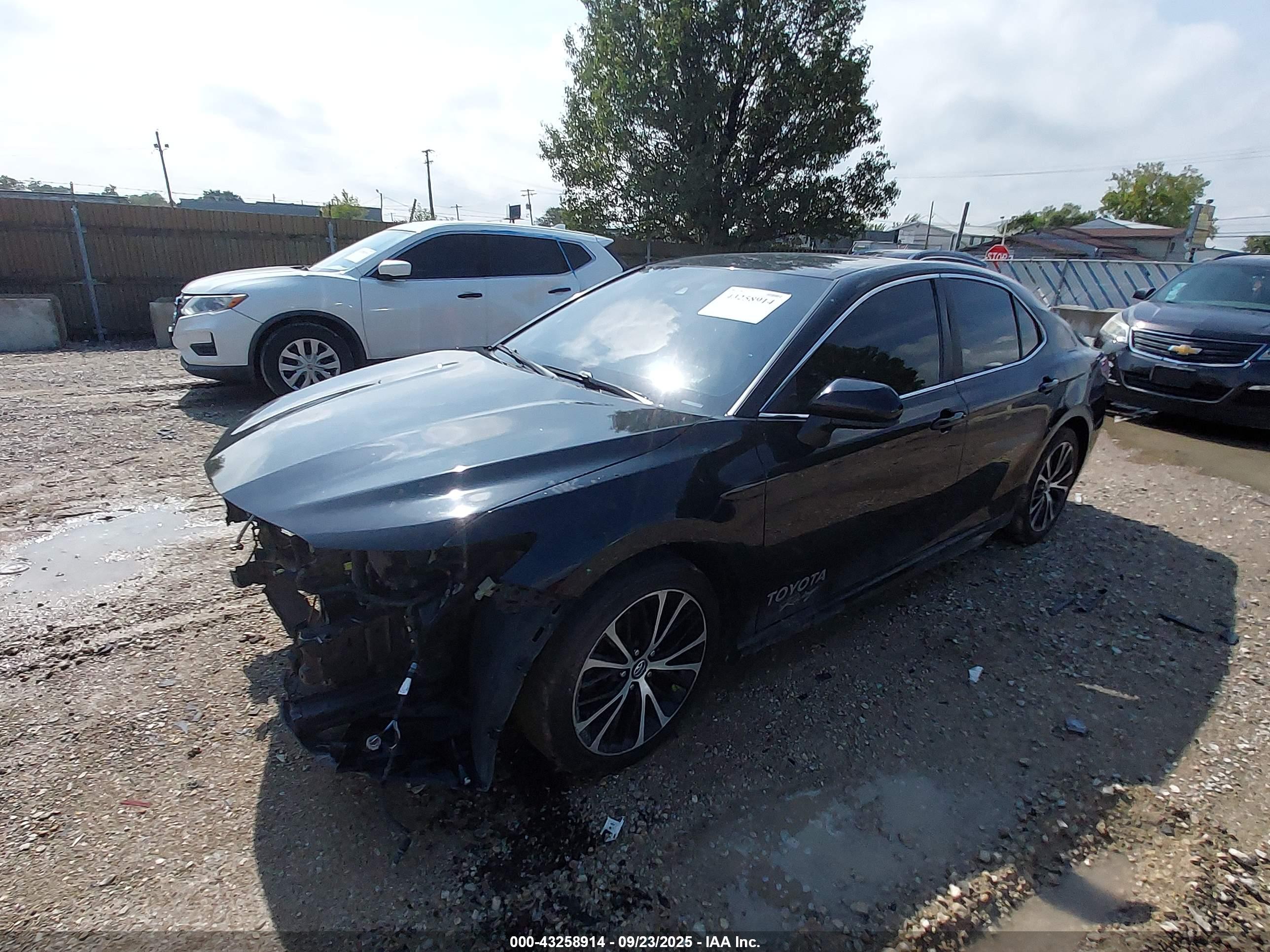TOYOTA CAMRY image 2