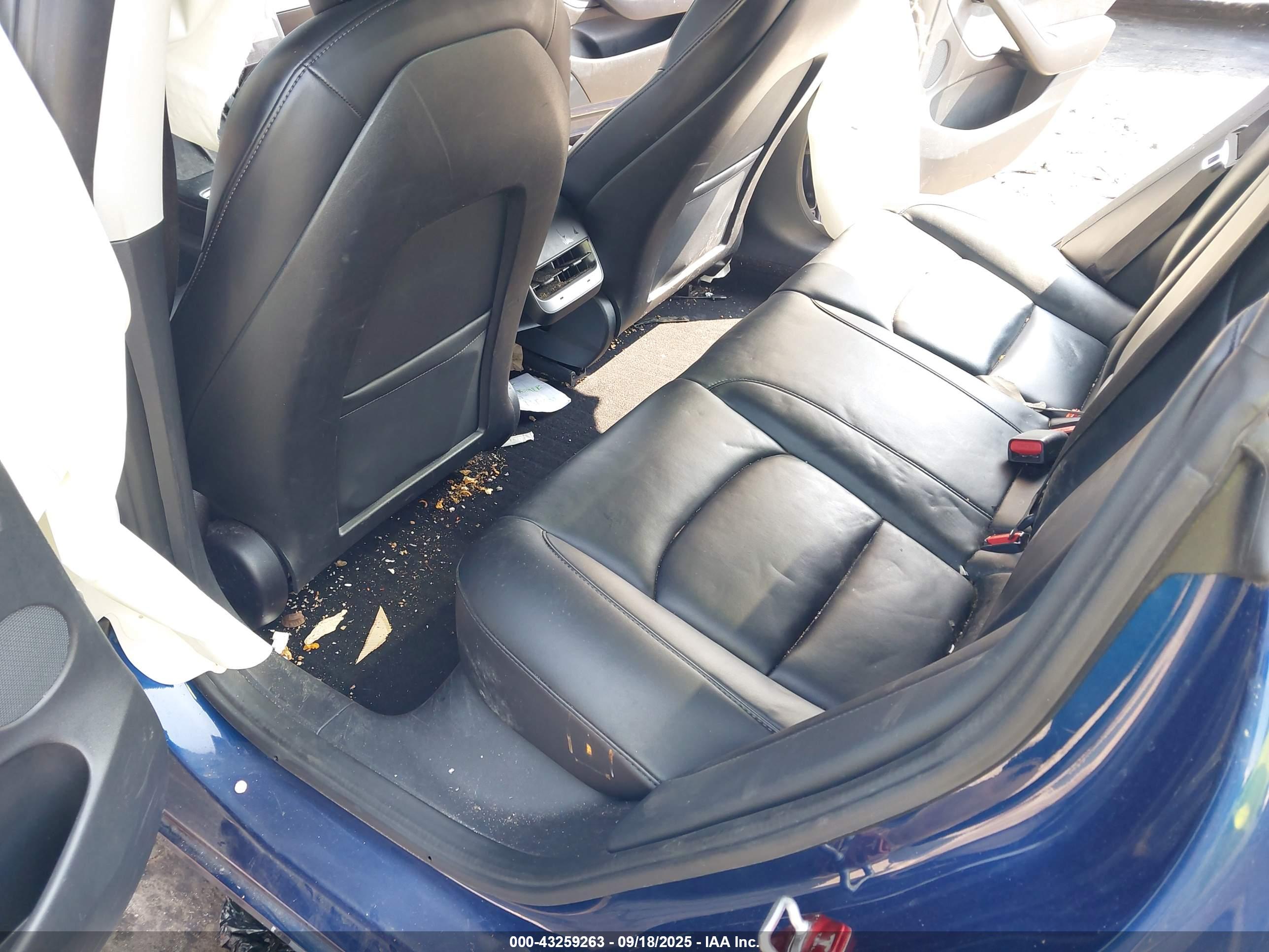 TESLA MODEL image 8