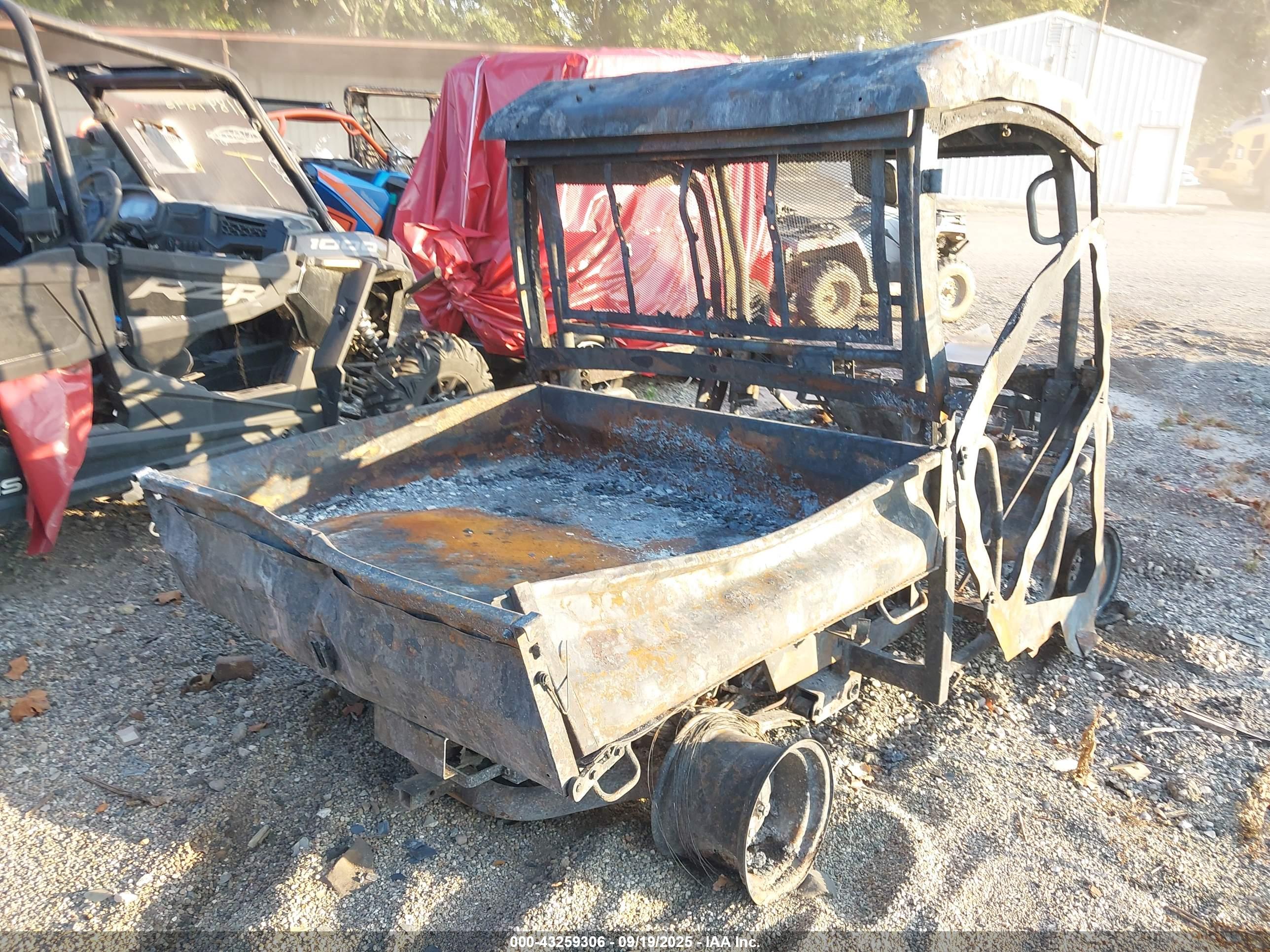 KUBOTA RTV image 4