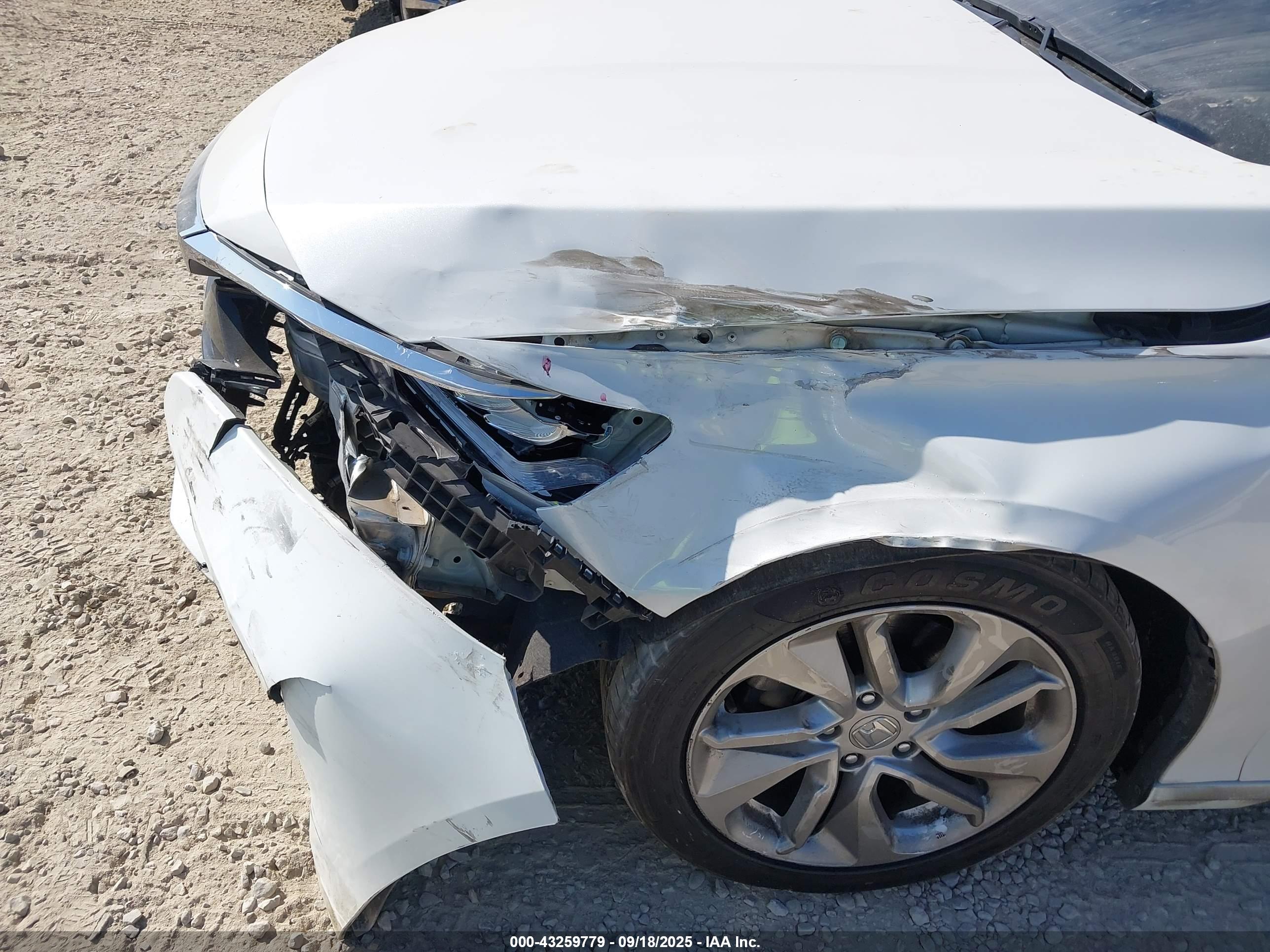 HONDA ACCORD image 6