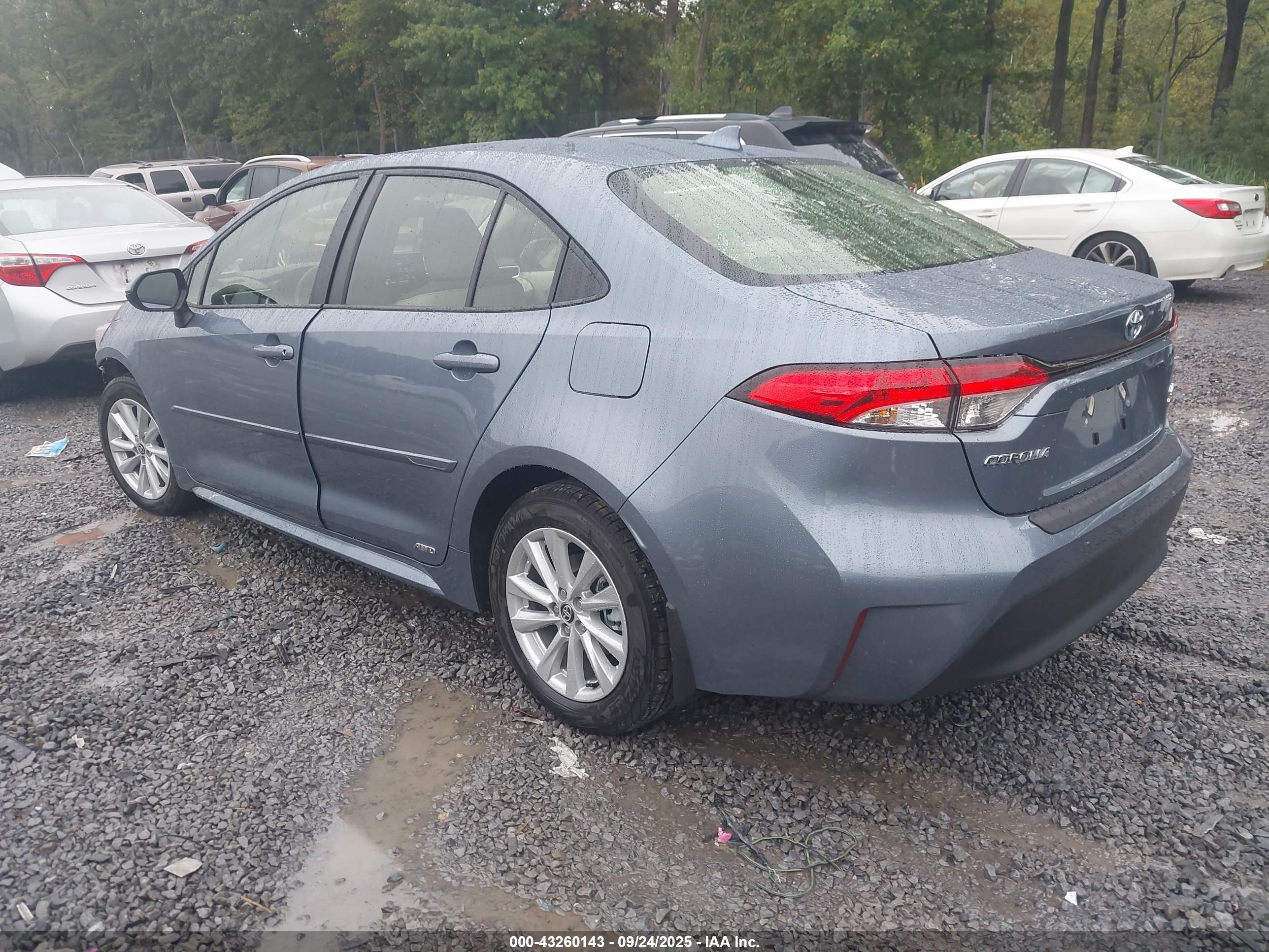 TOYOTA COROLLA image 3