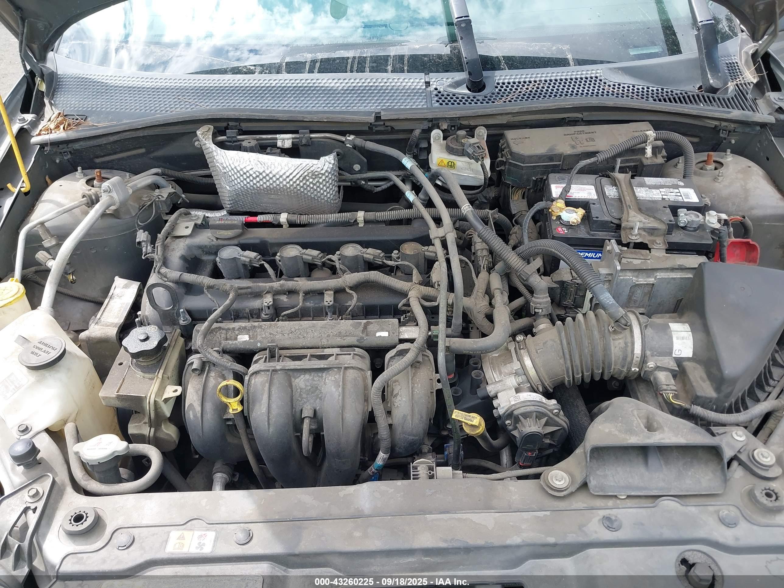 FORD FOCUS image 10