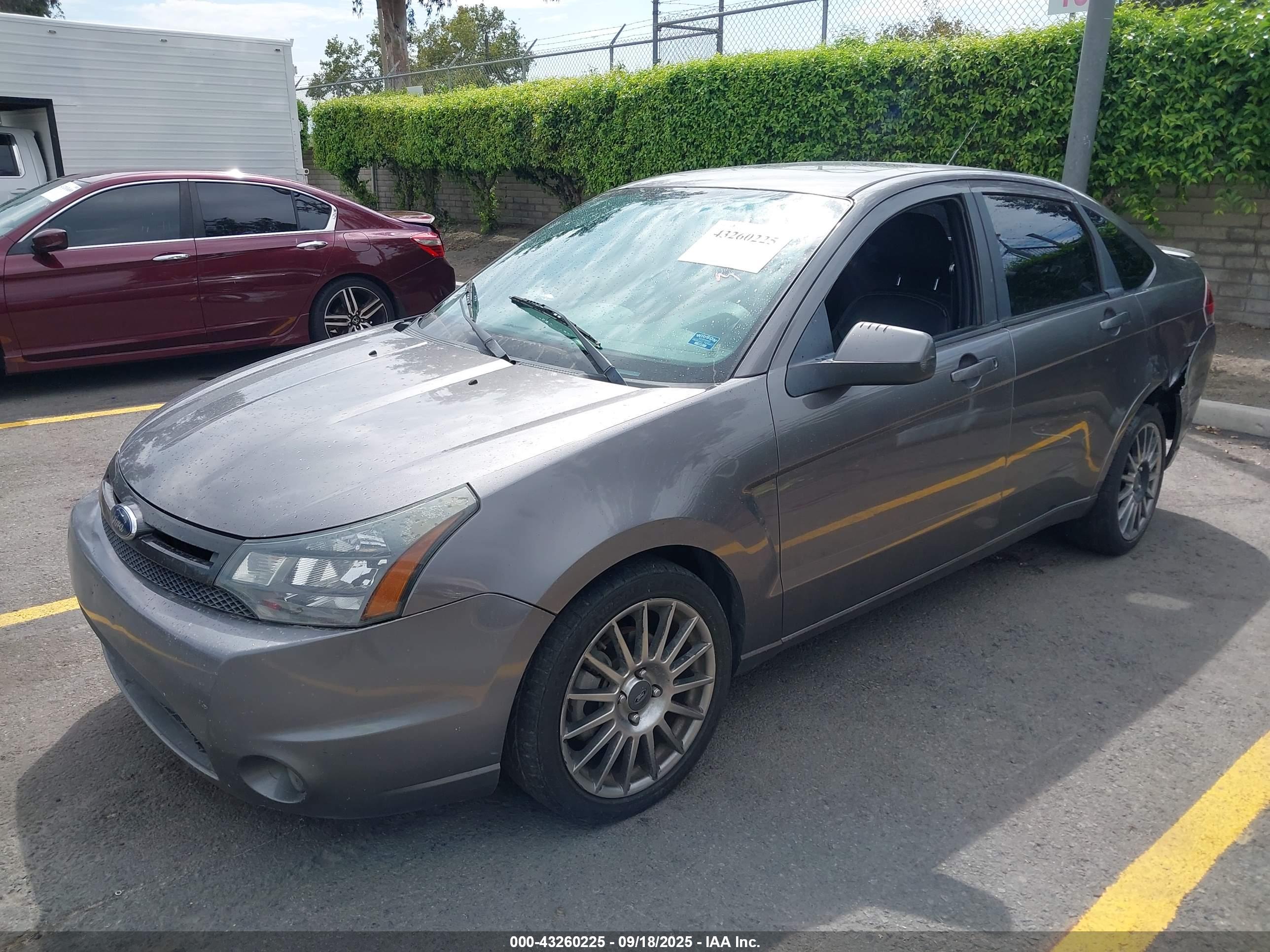 FORD FOCUS image 2