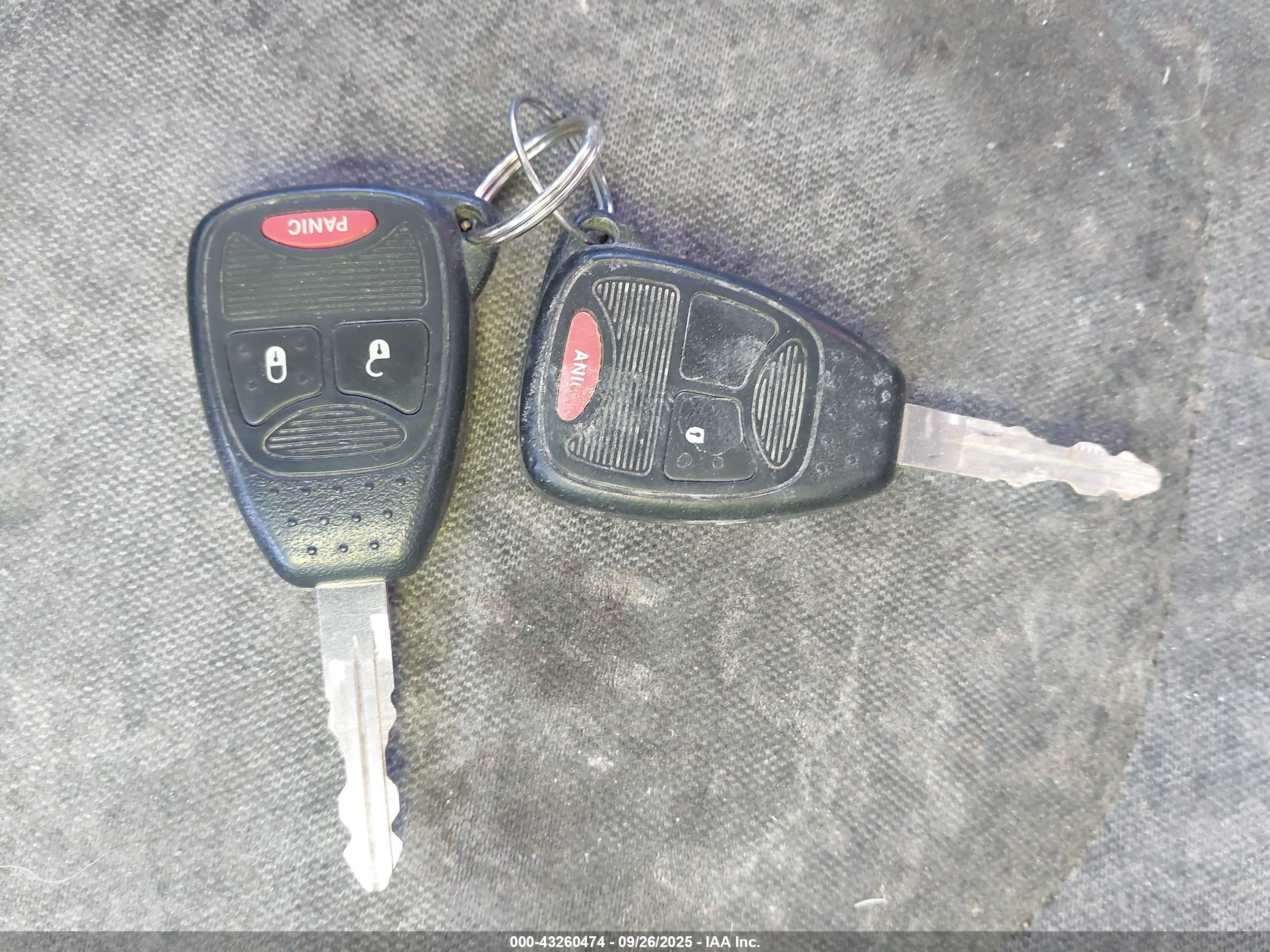 JEEP WRANGLER image 11