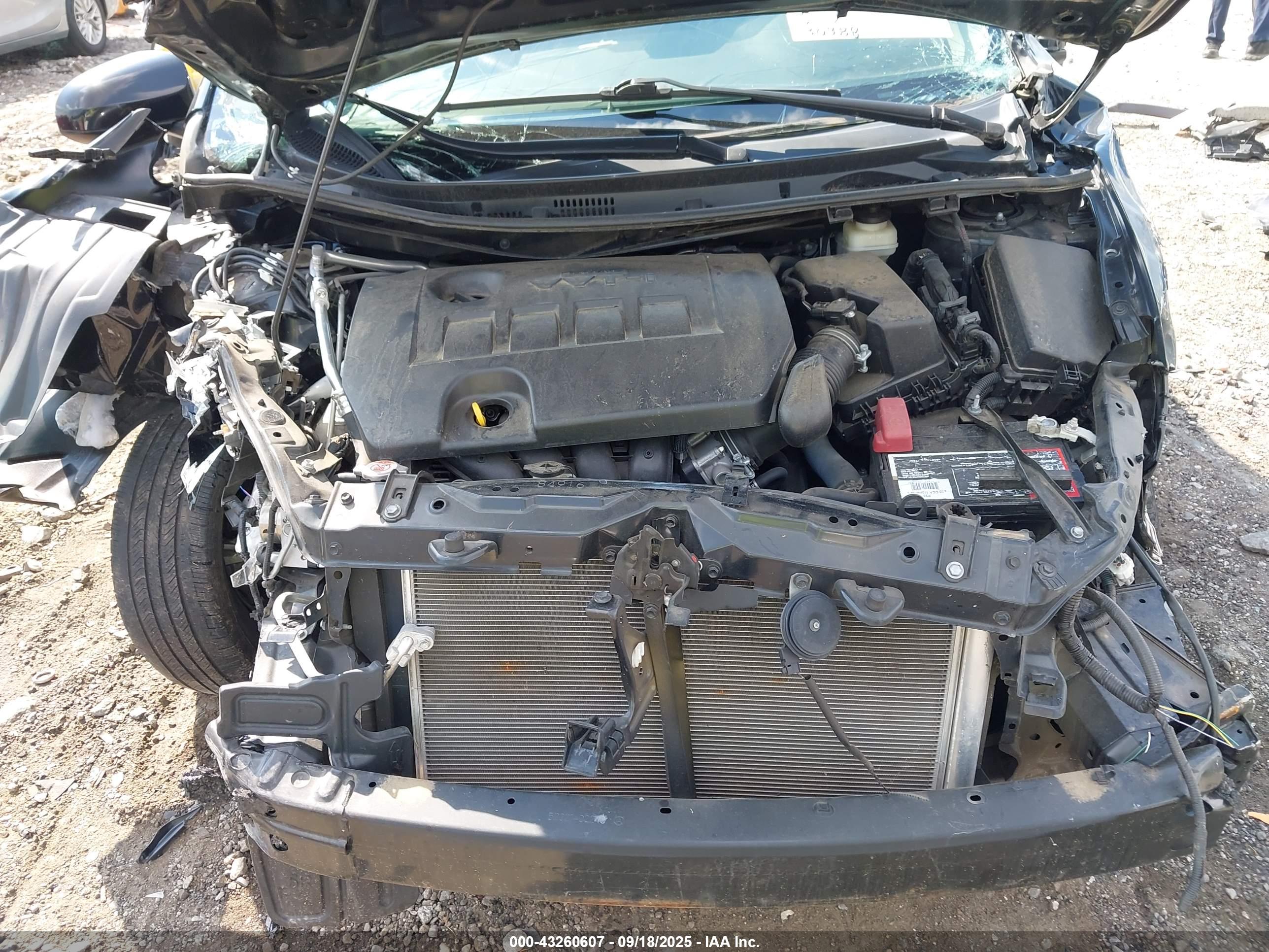 TOYOTA COROLLA image 10