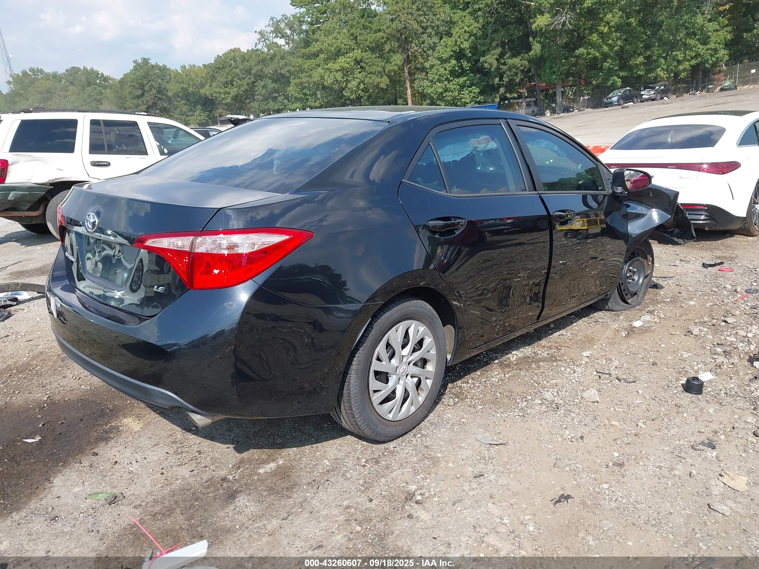 TOYOTA COROLLA image 4