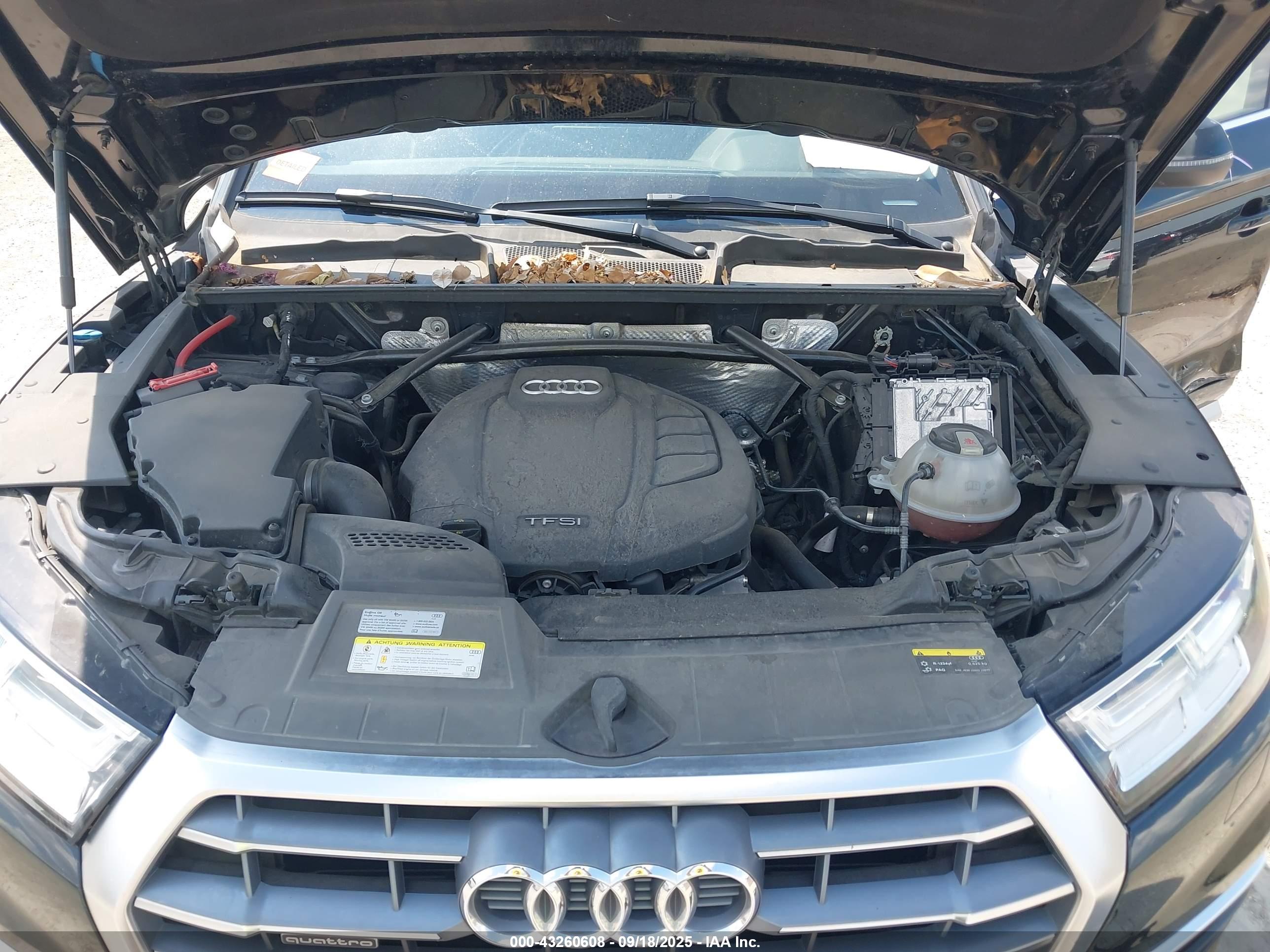 AUDI Q5 image 10