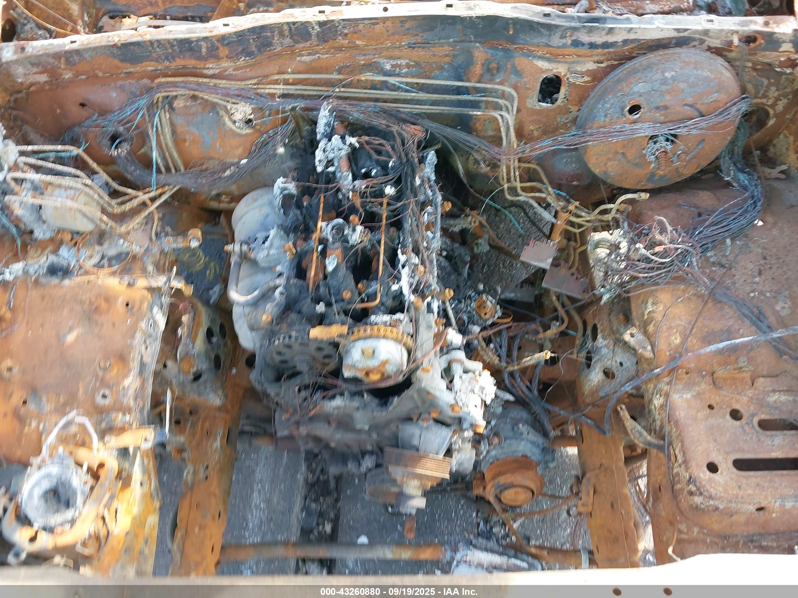 TOYOTA TACOMA image 10