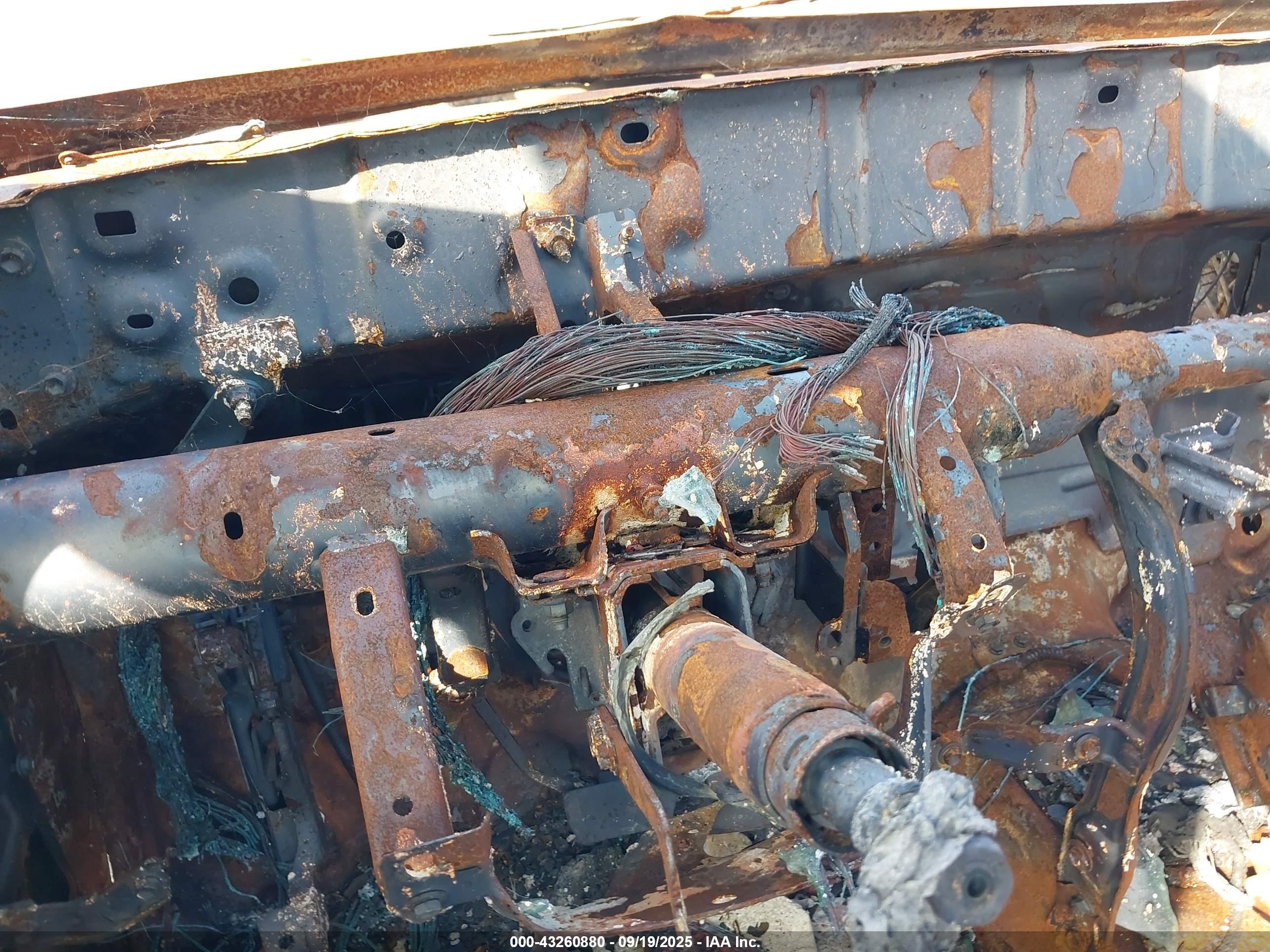 TOYOTA TACOMA image 7