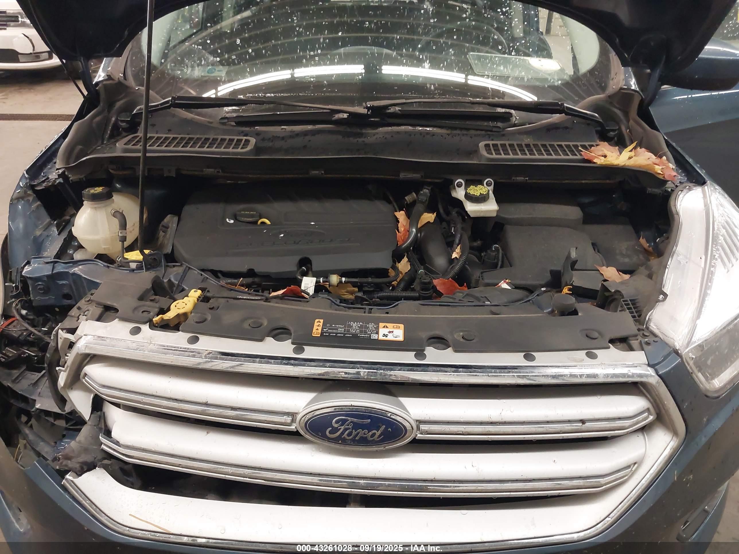 FORD ESCAPE image 10