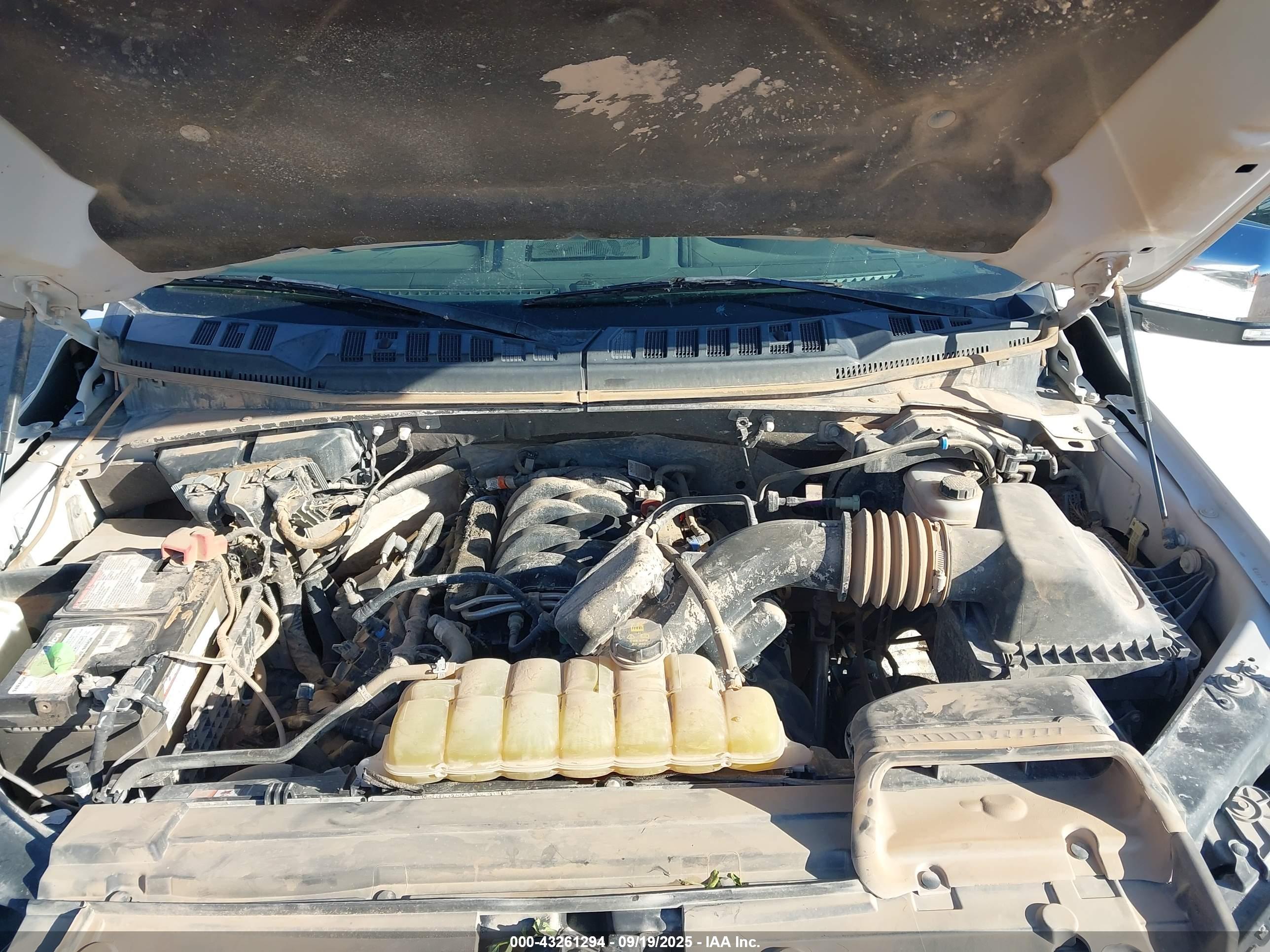 FORD F-150 image 10