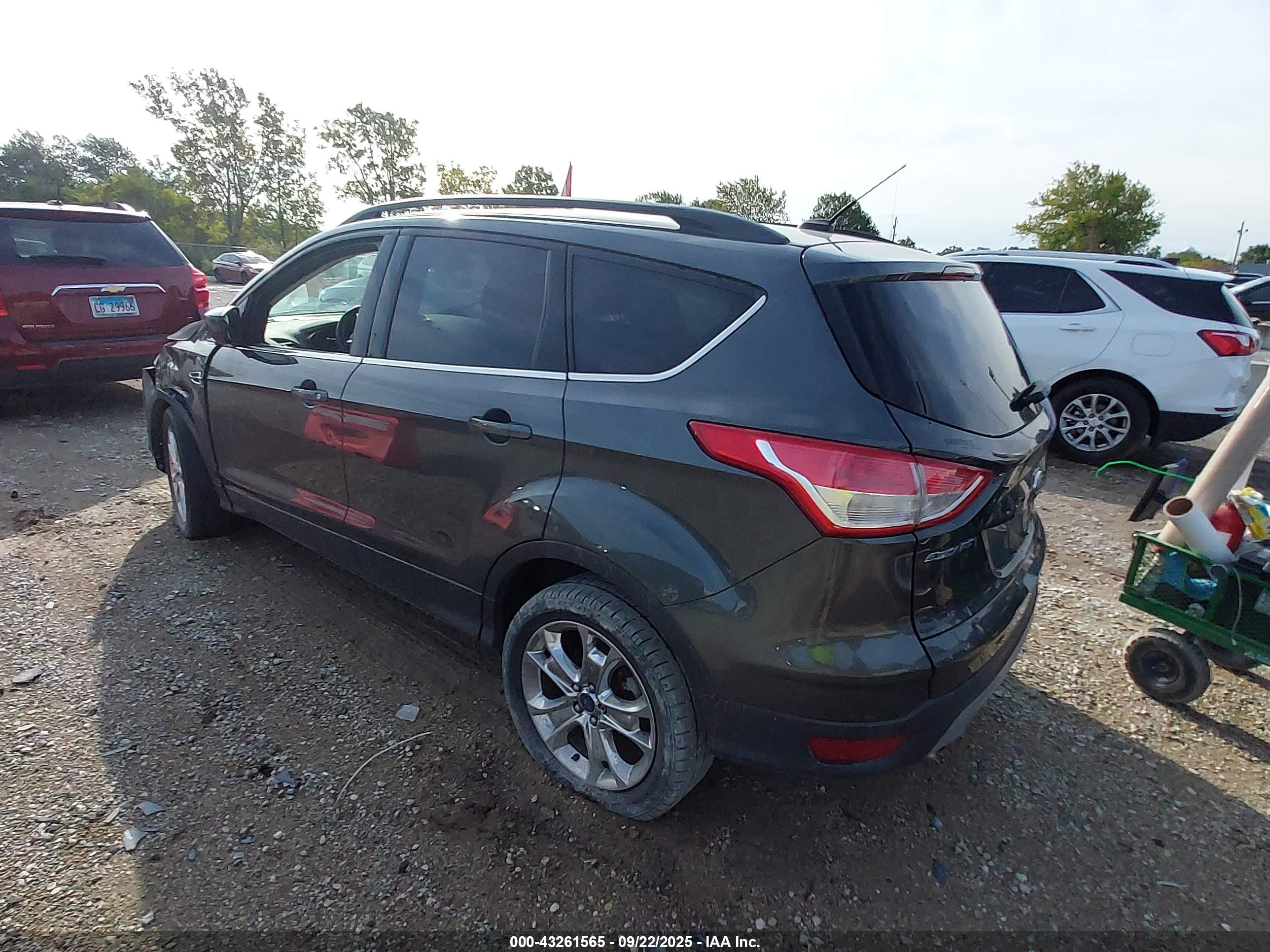 FORD ESCAPE image 3
