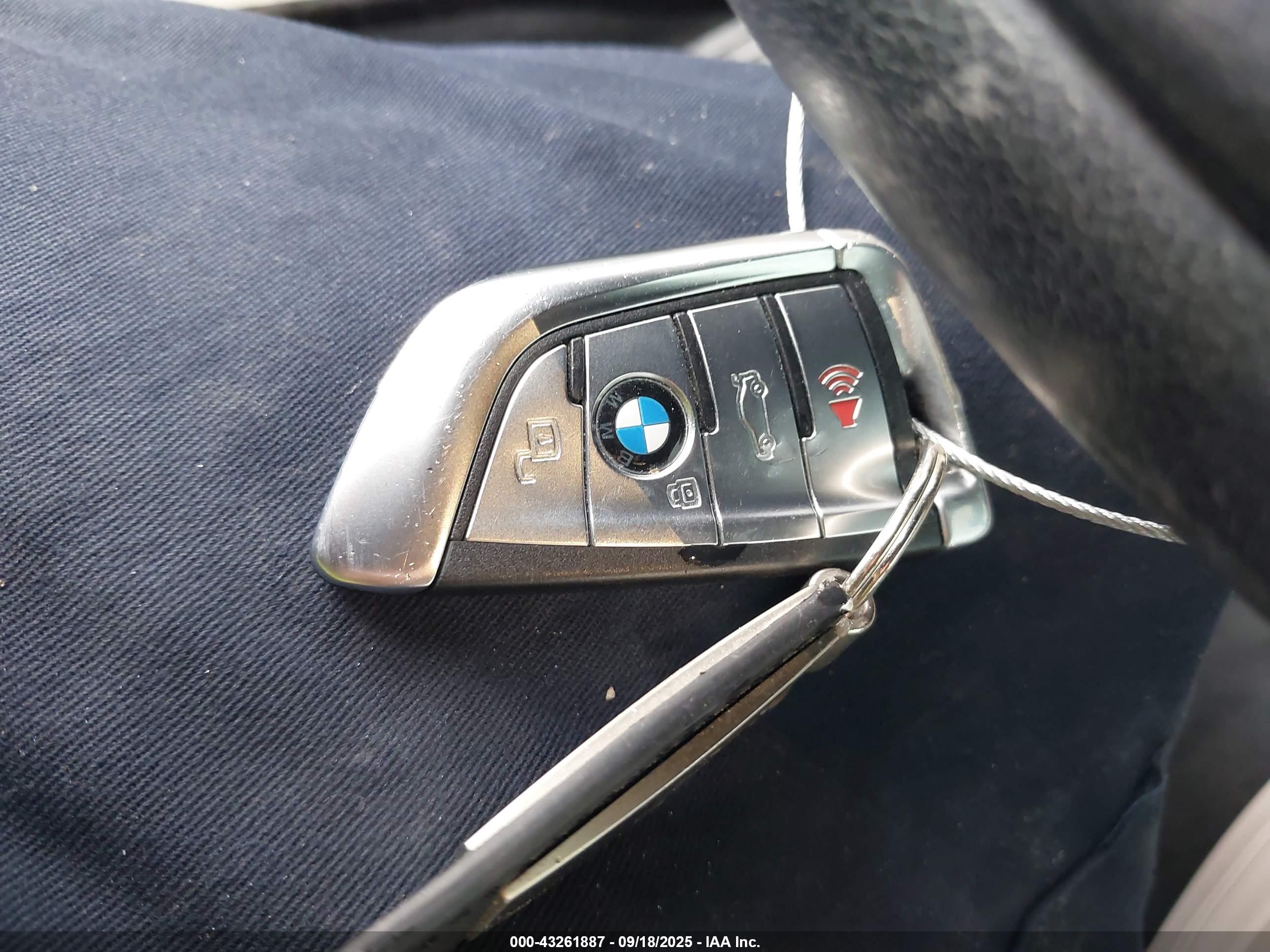 BMW X7 image 11