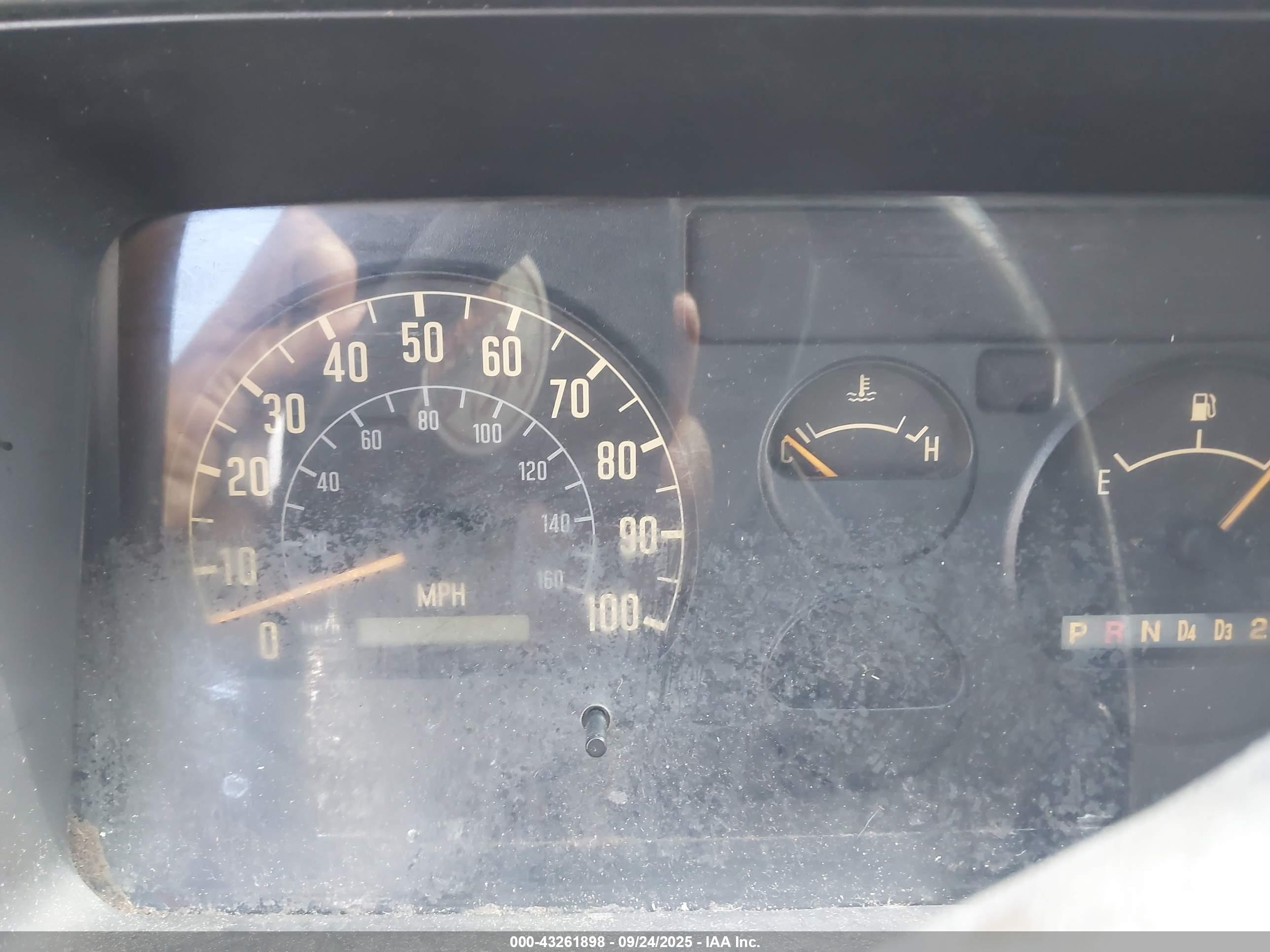 ISUZU NPR image 6