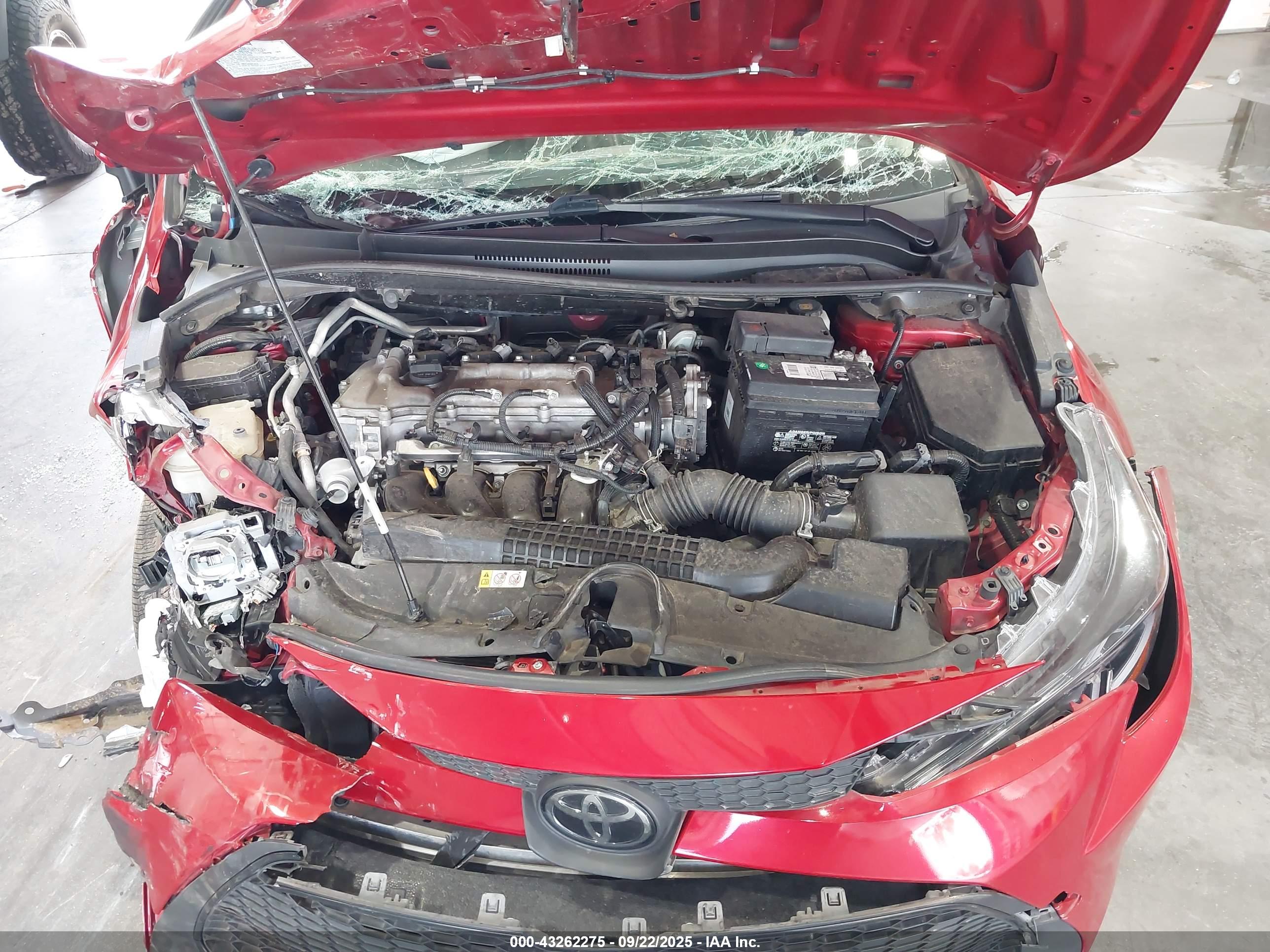 TOYOTA COROLLA image 10