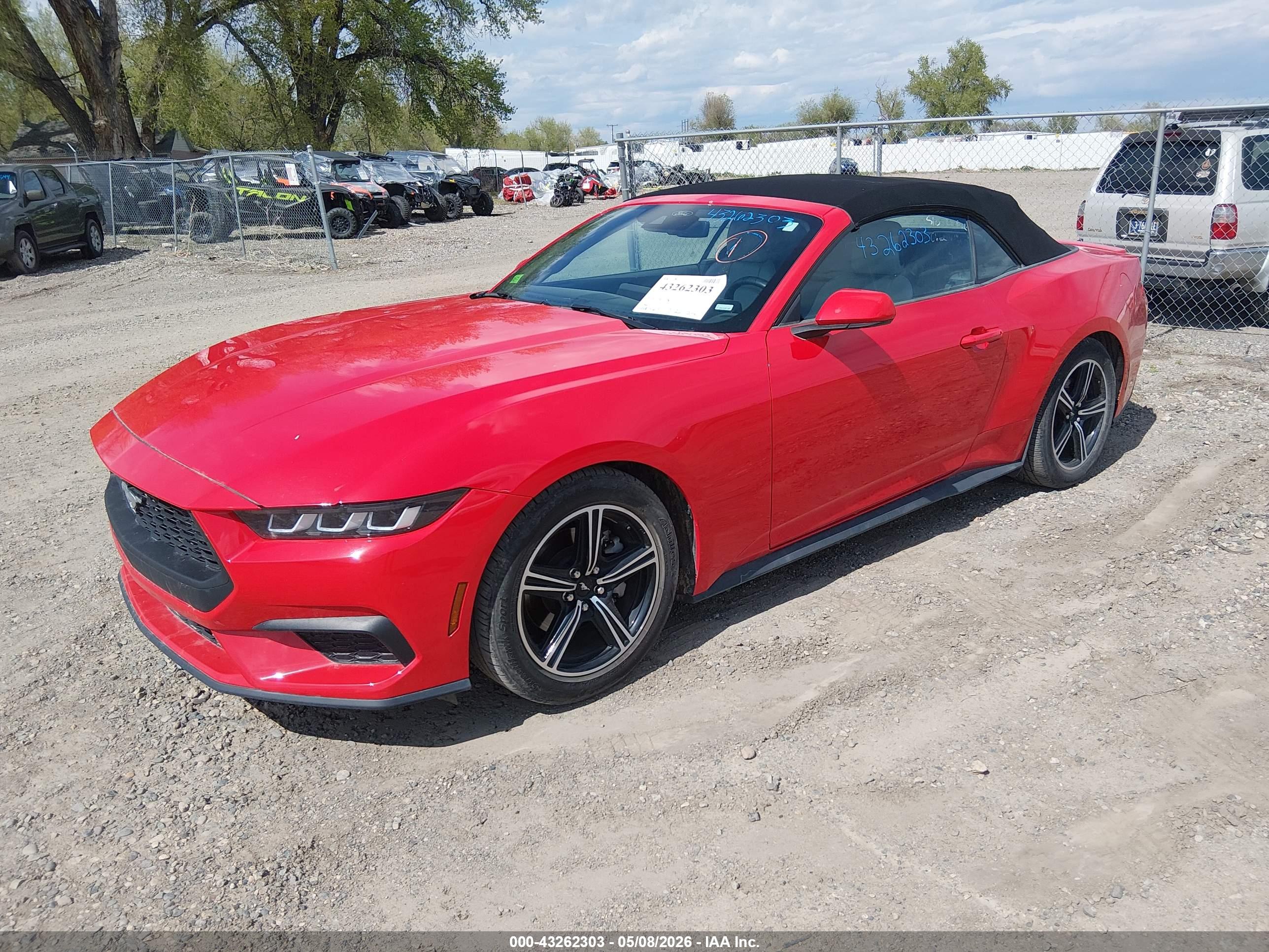 FORD MUSTANG image 2