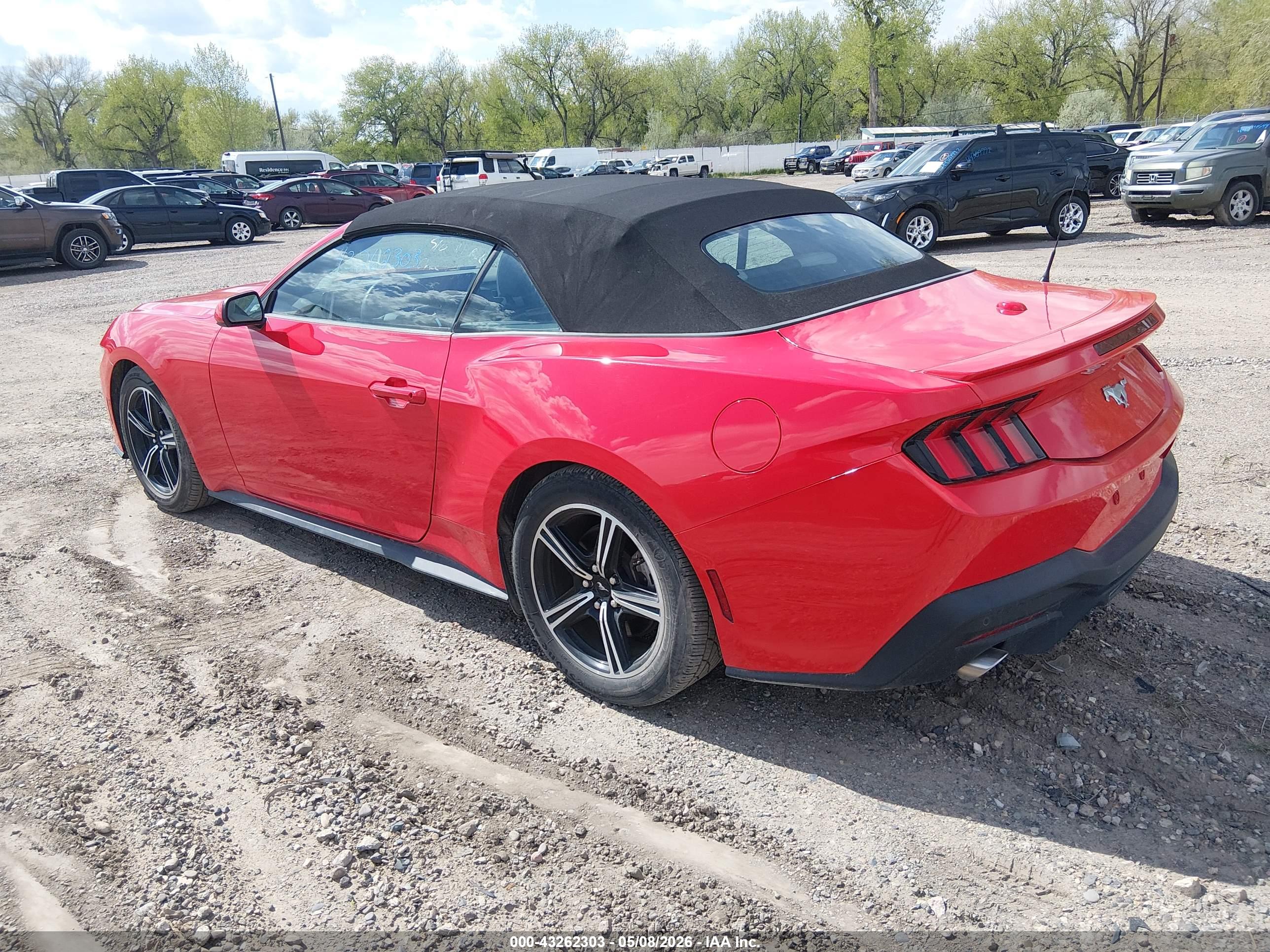 FORD MUSTANG image 3
