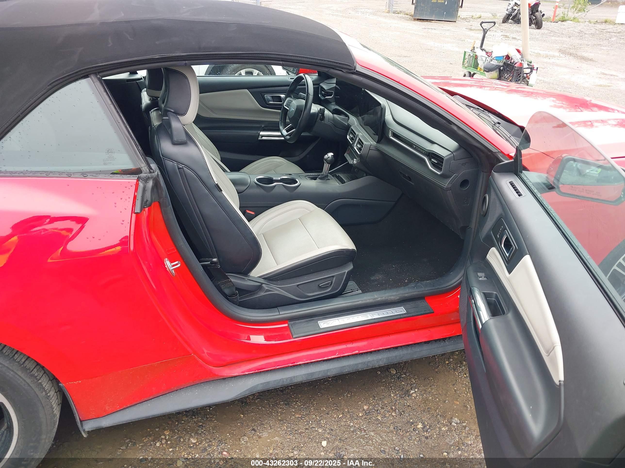 FORD MUSTANG image 5