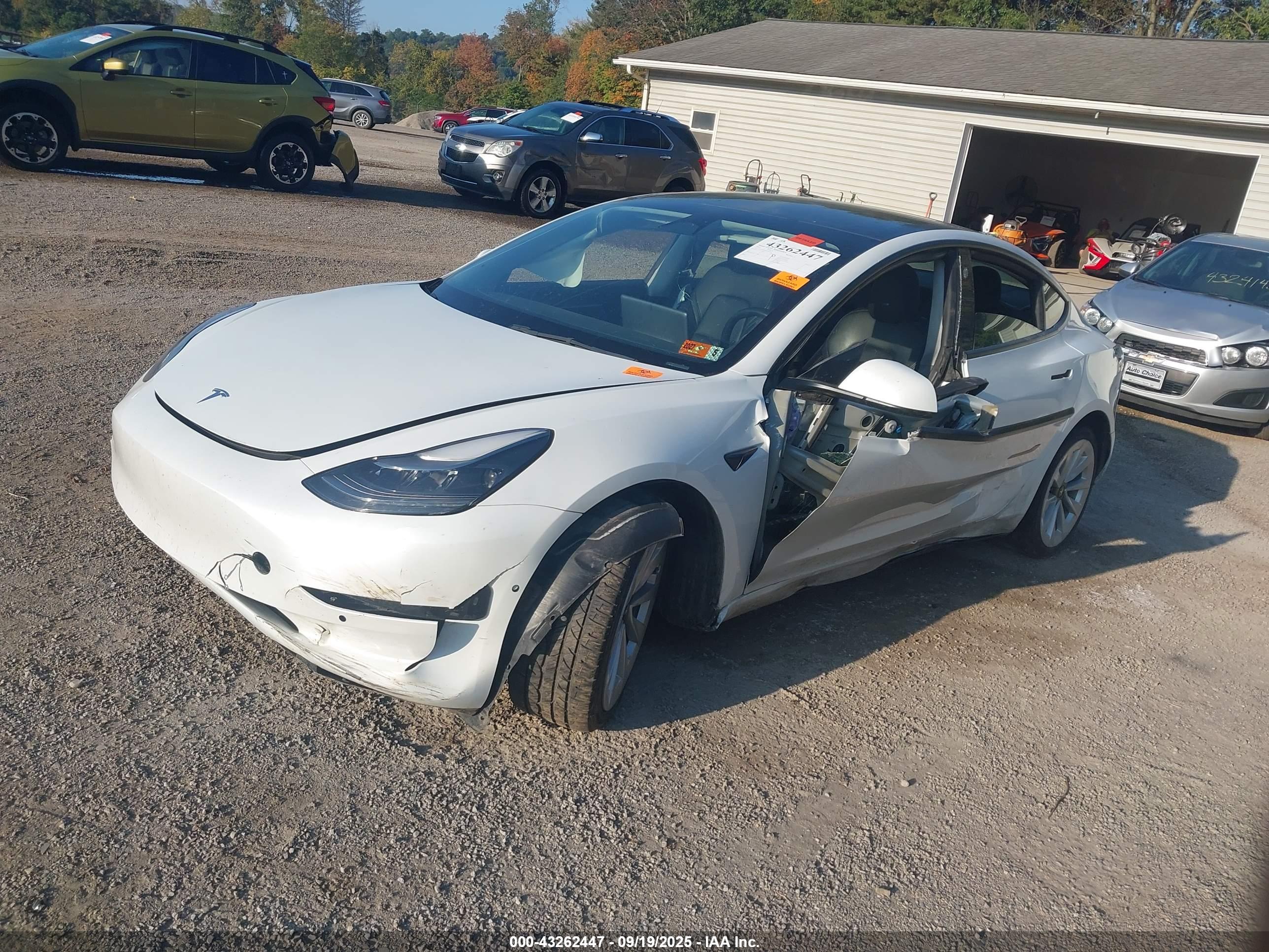 TESLA MODEL image 2