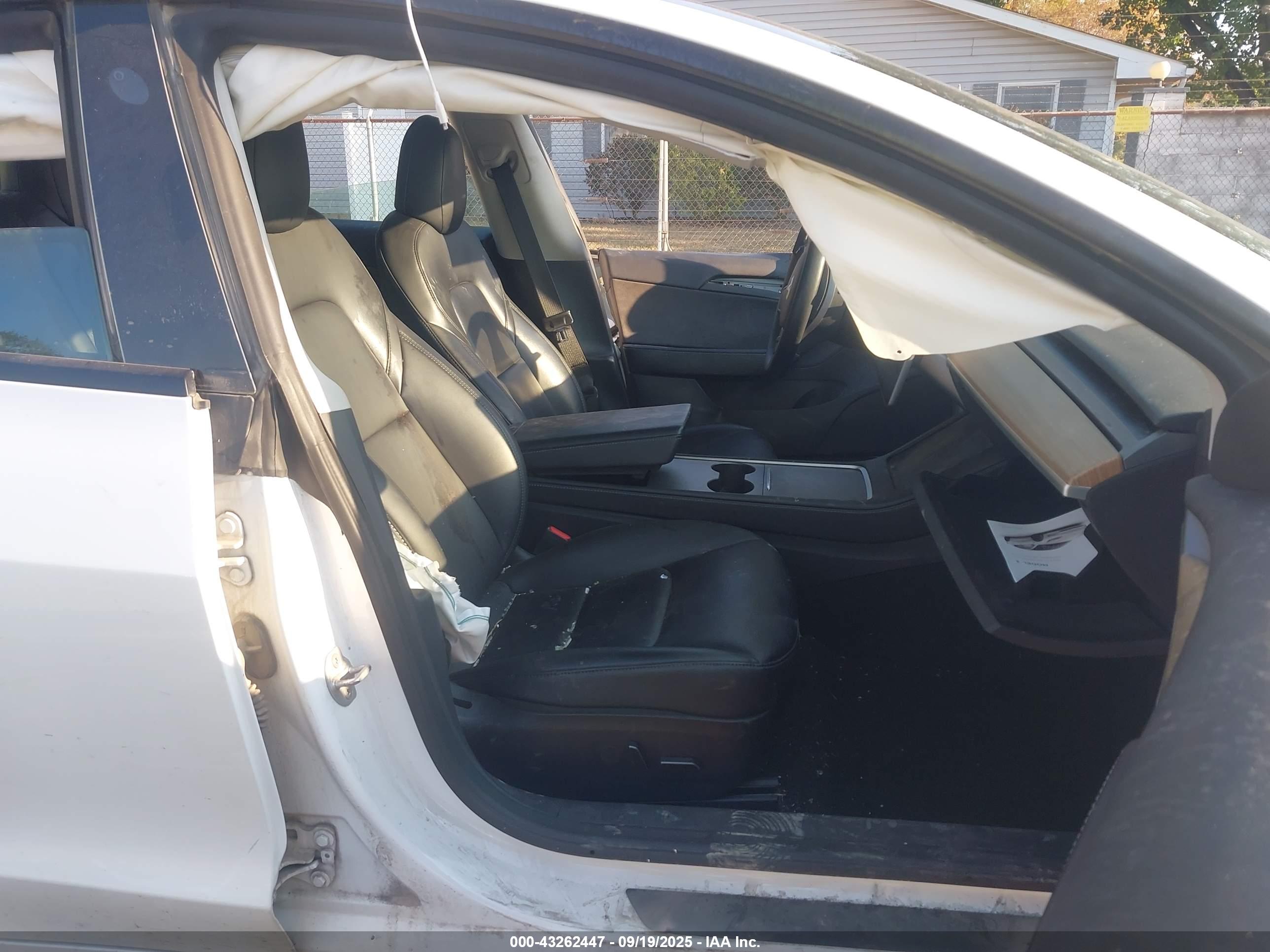 TESLA MODEL image 5