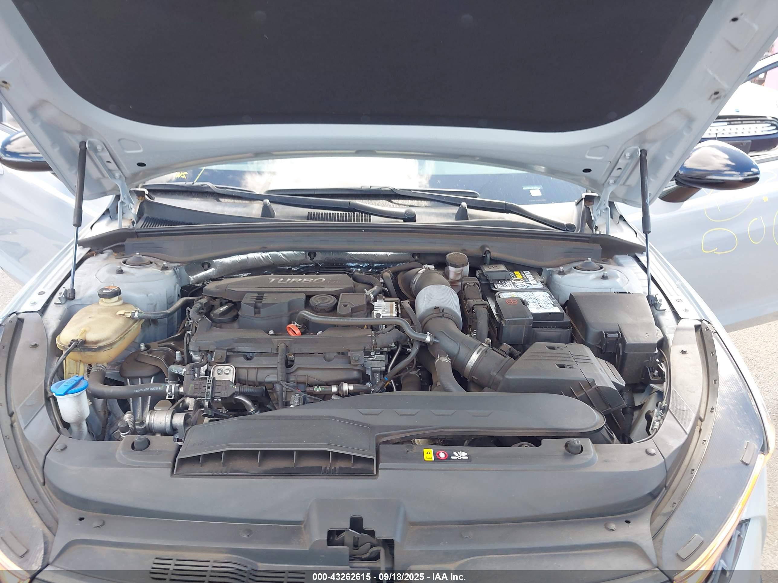 KIA K5 image 10