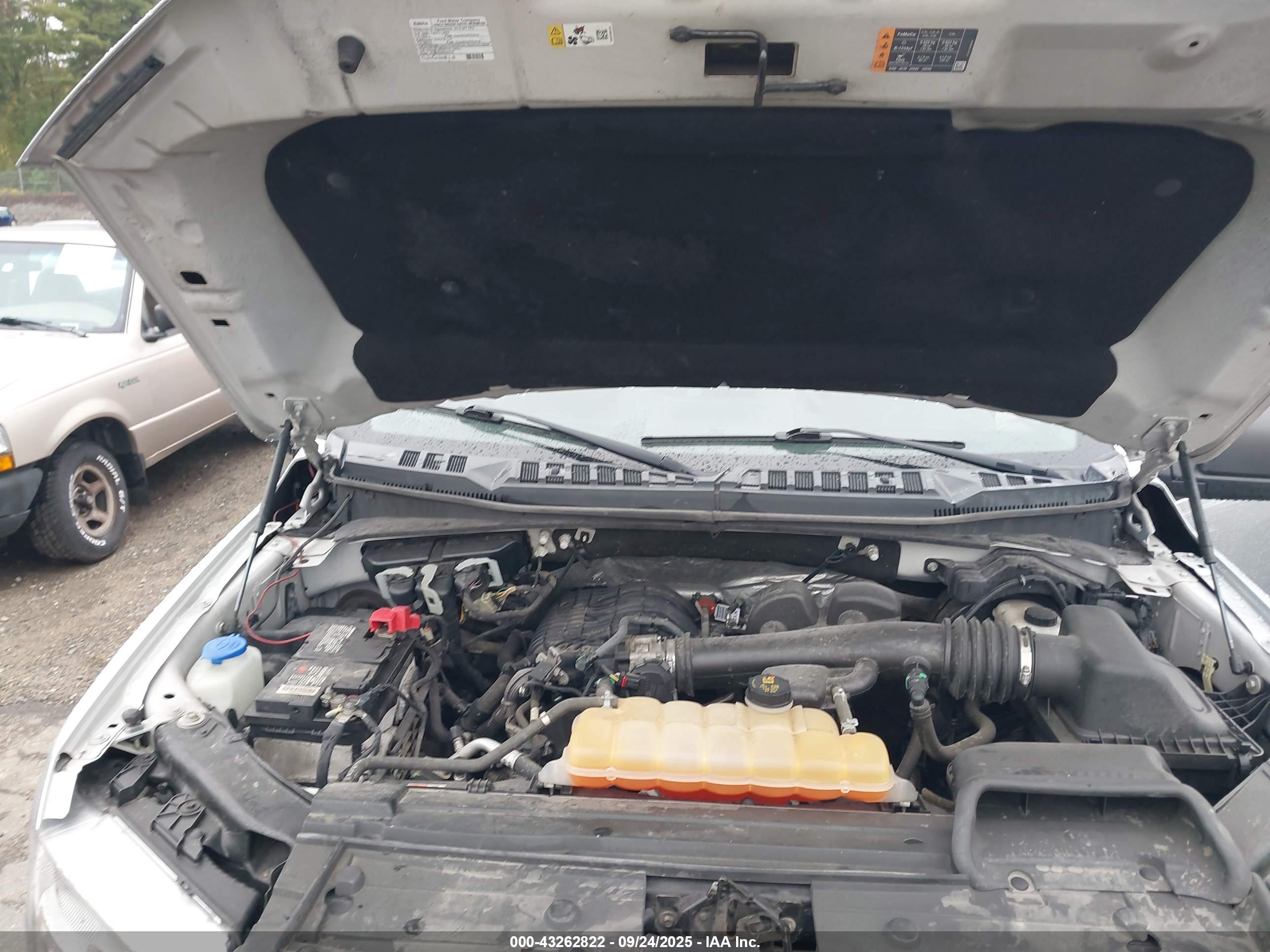 FORD F-150 image 10