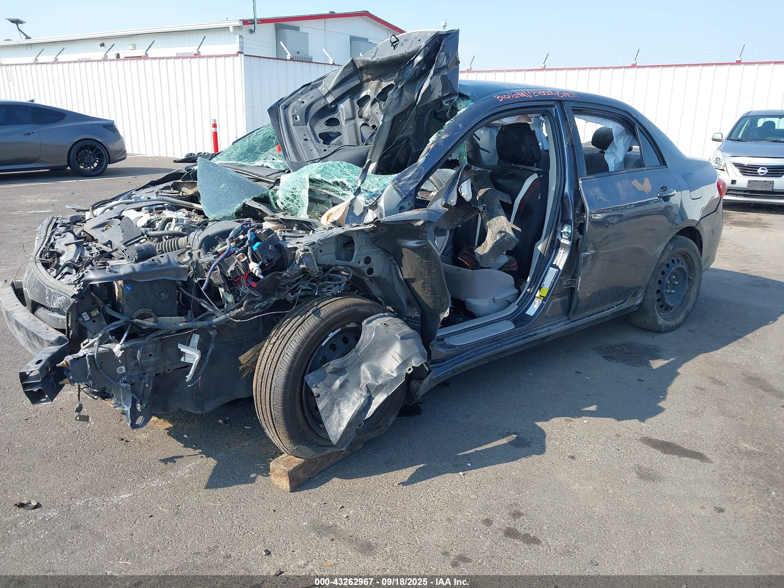TOYOTA COROLLA image 2
