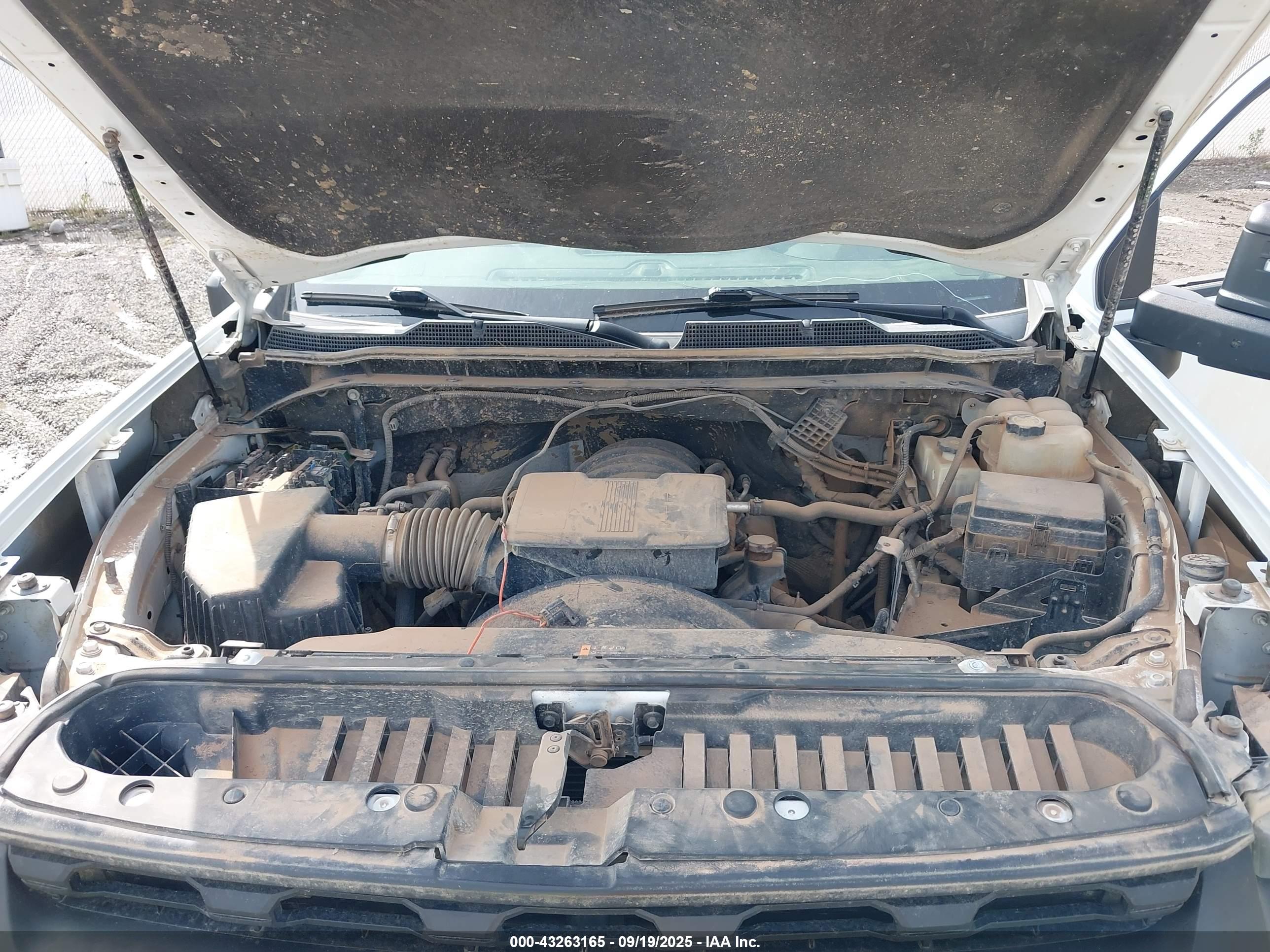 CHEVROLET SILVERADO image 10