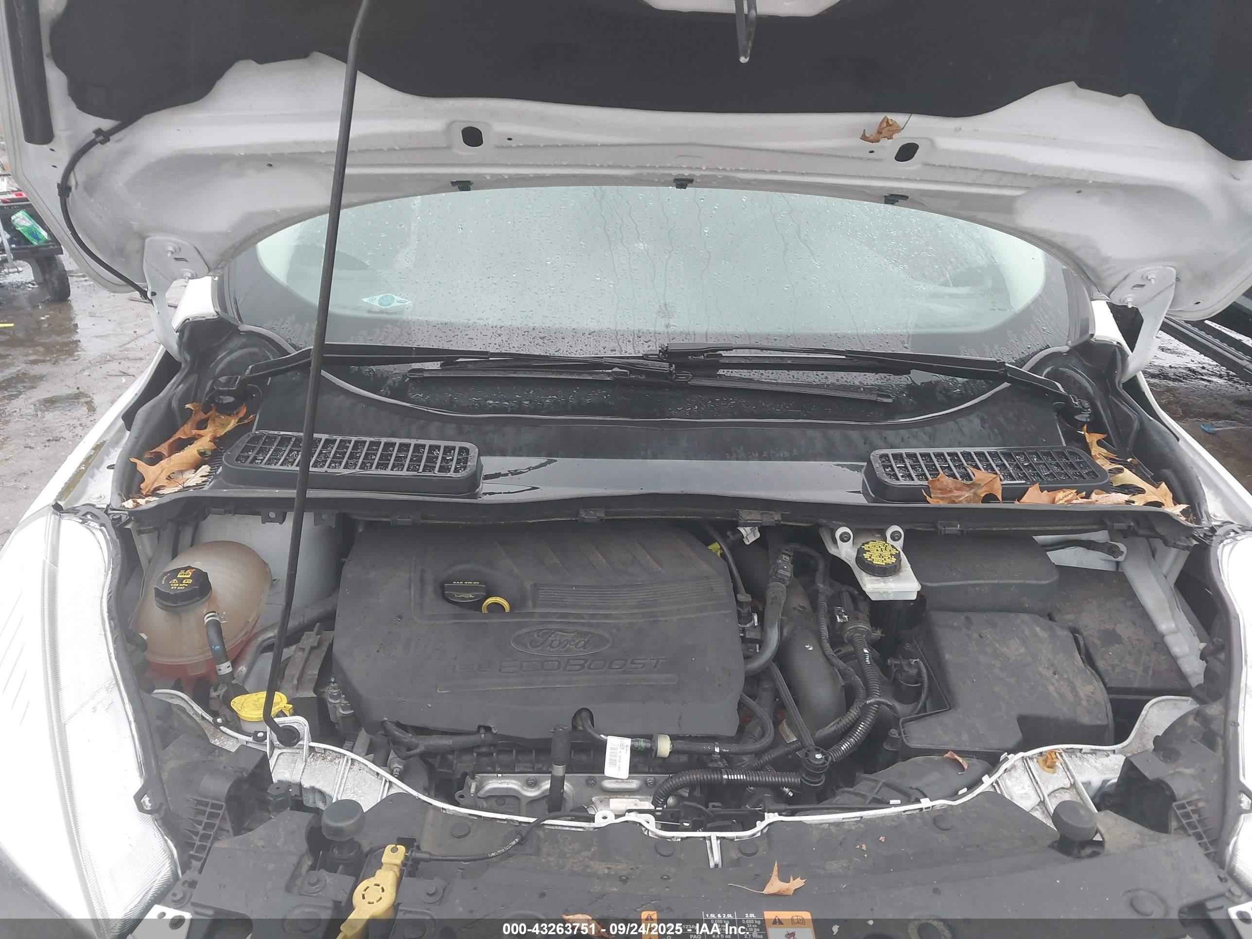 FORD ESCAPE image 10