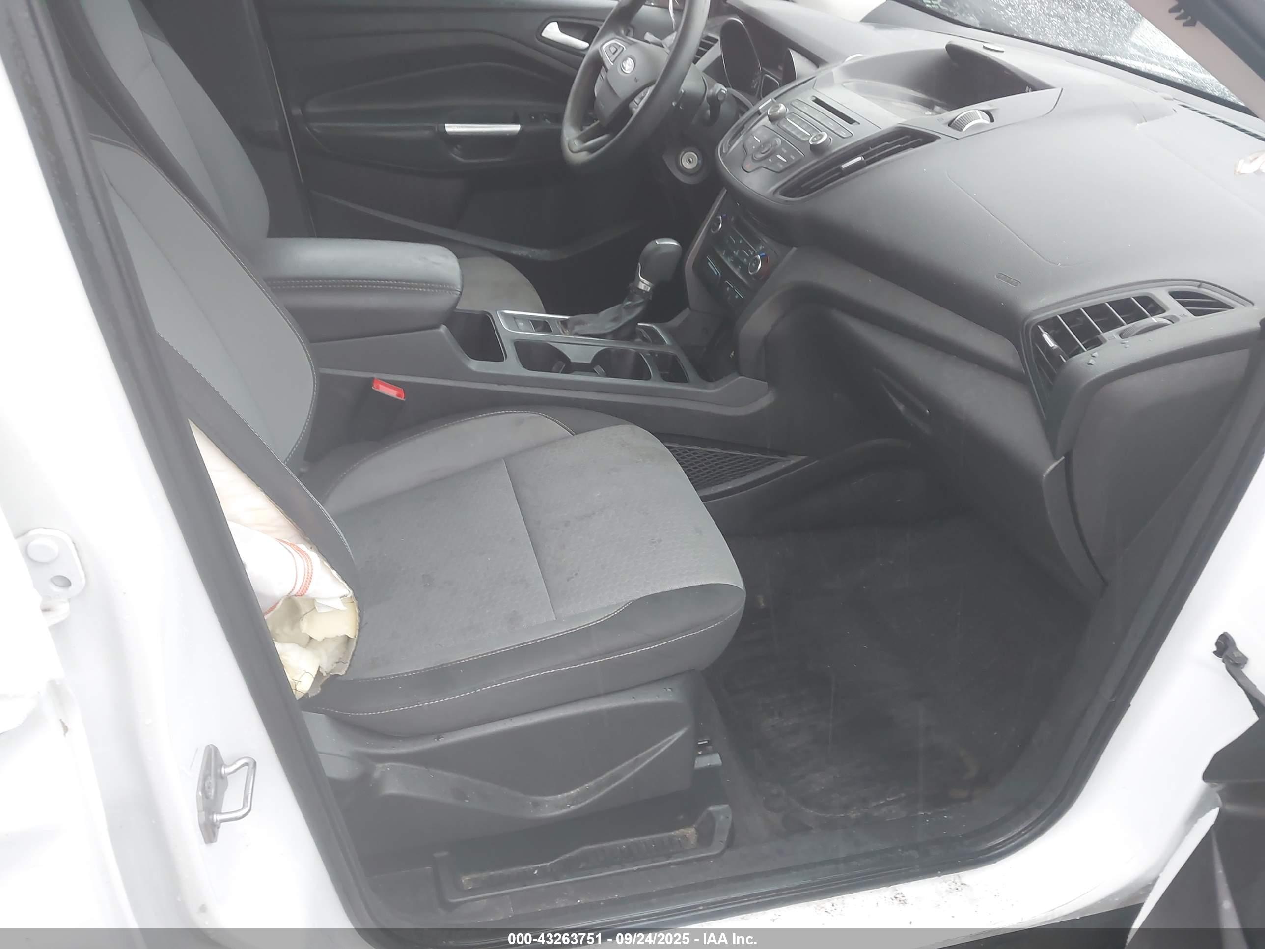 FORD ESCAPE image 5