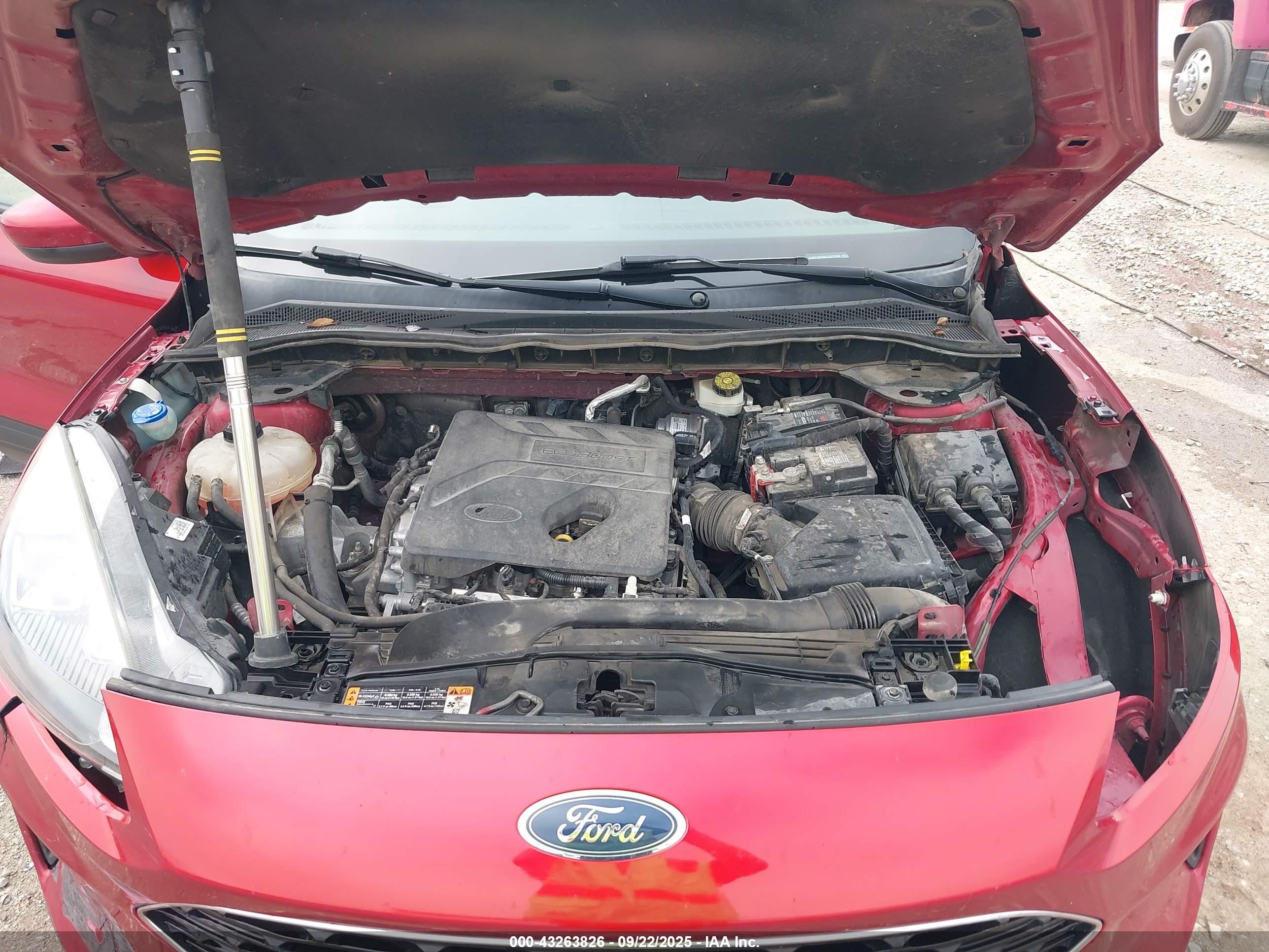 FORD ESCAPE image 10