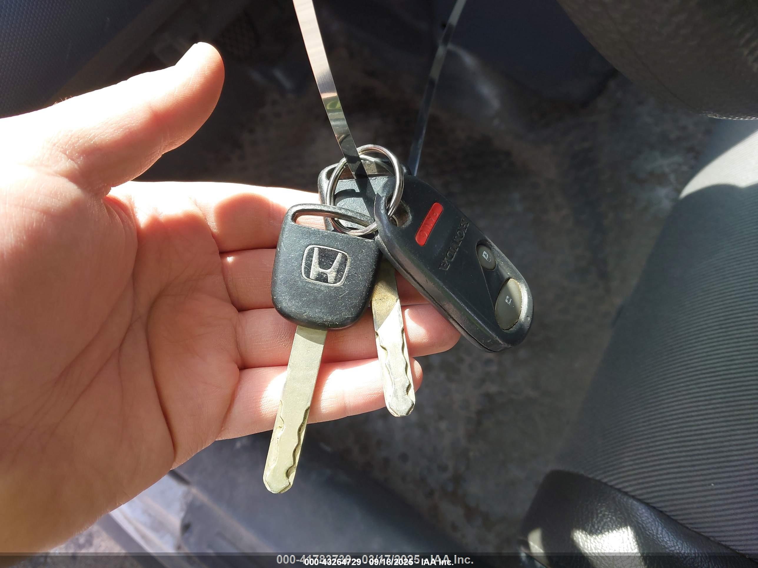 HONDA ELEMENT image 11