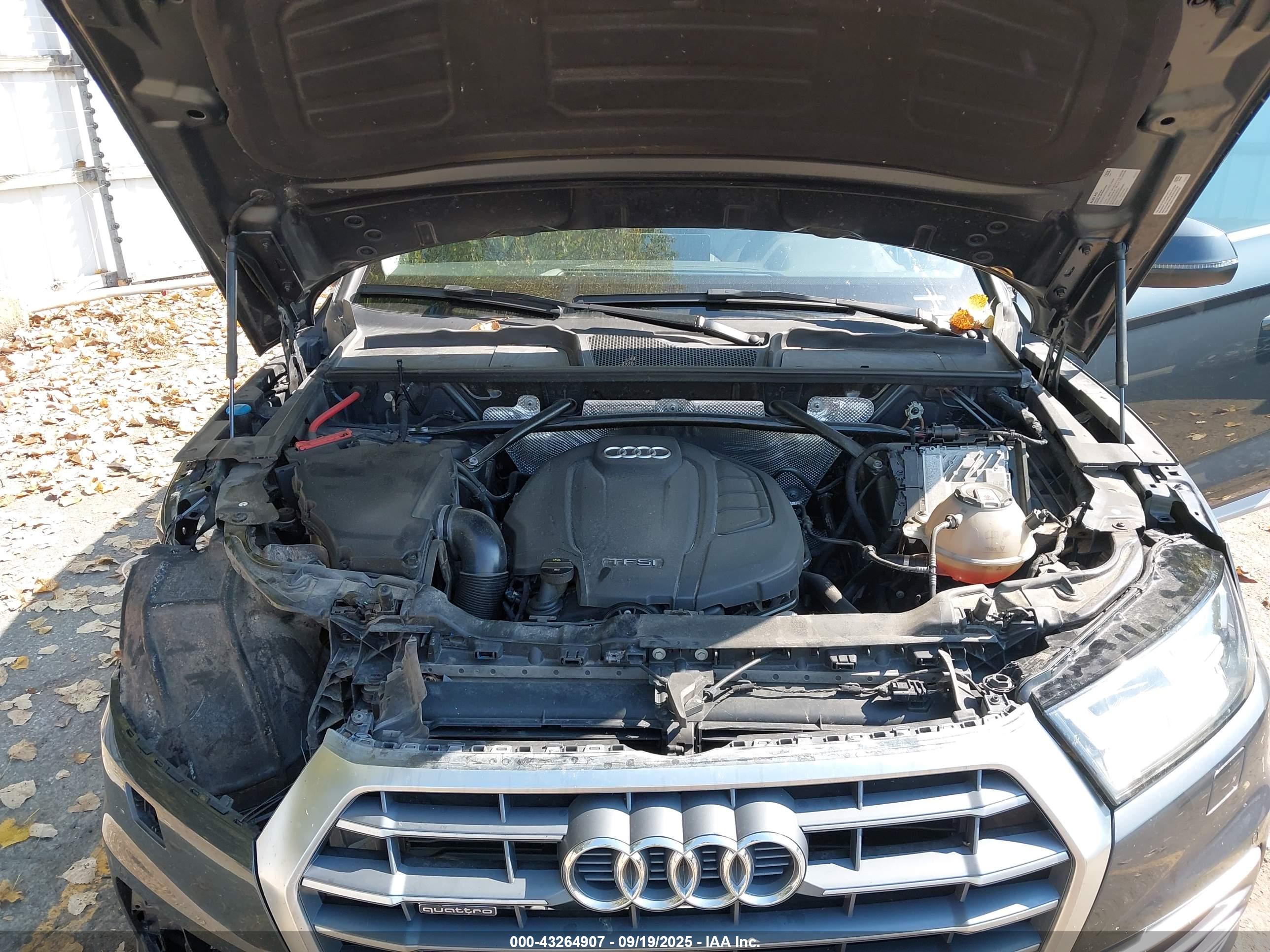 AUDI Q5 image 10