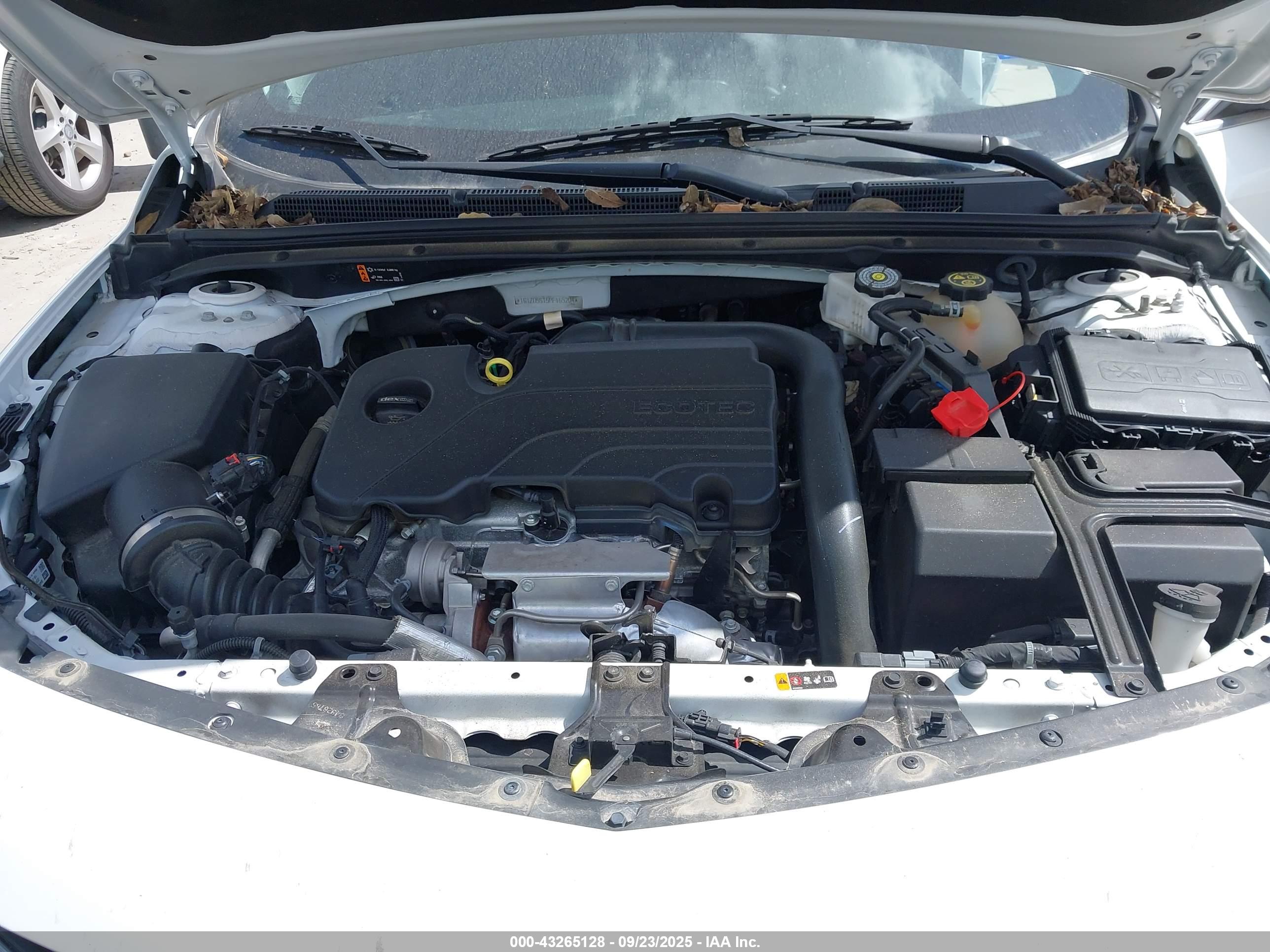 CHEVROLET MALIBU image 10