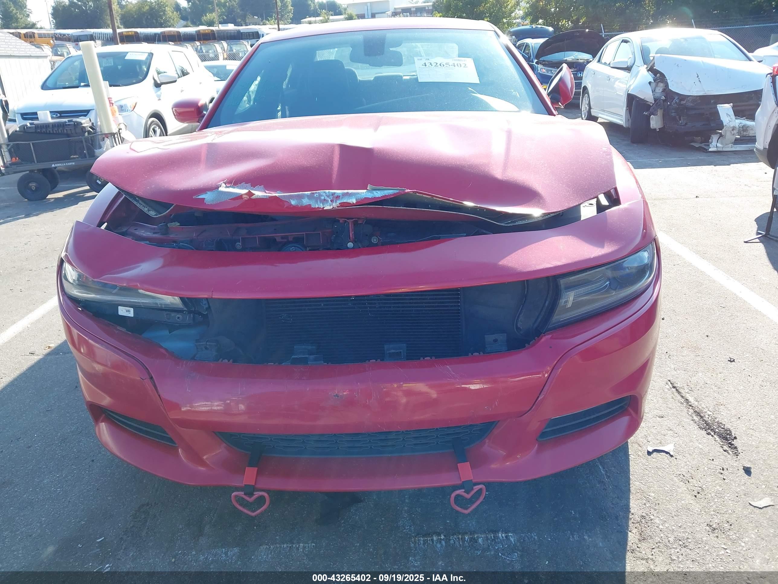 DODGE CHARGER image 6