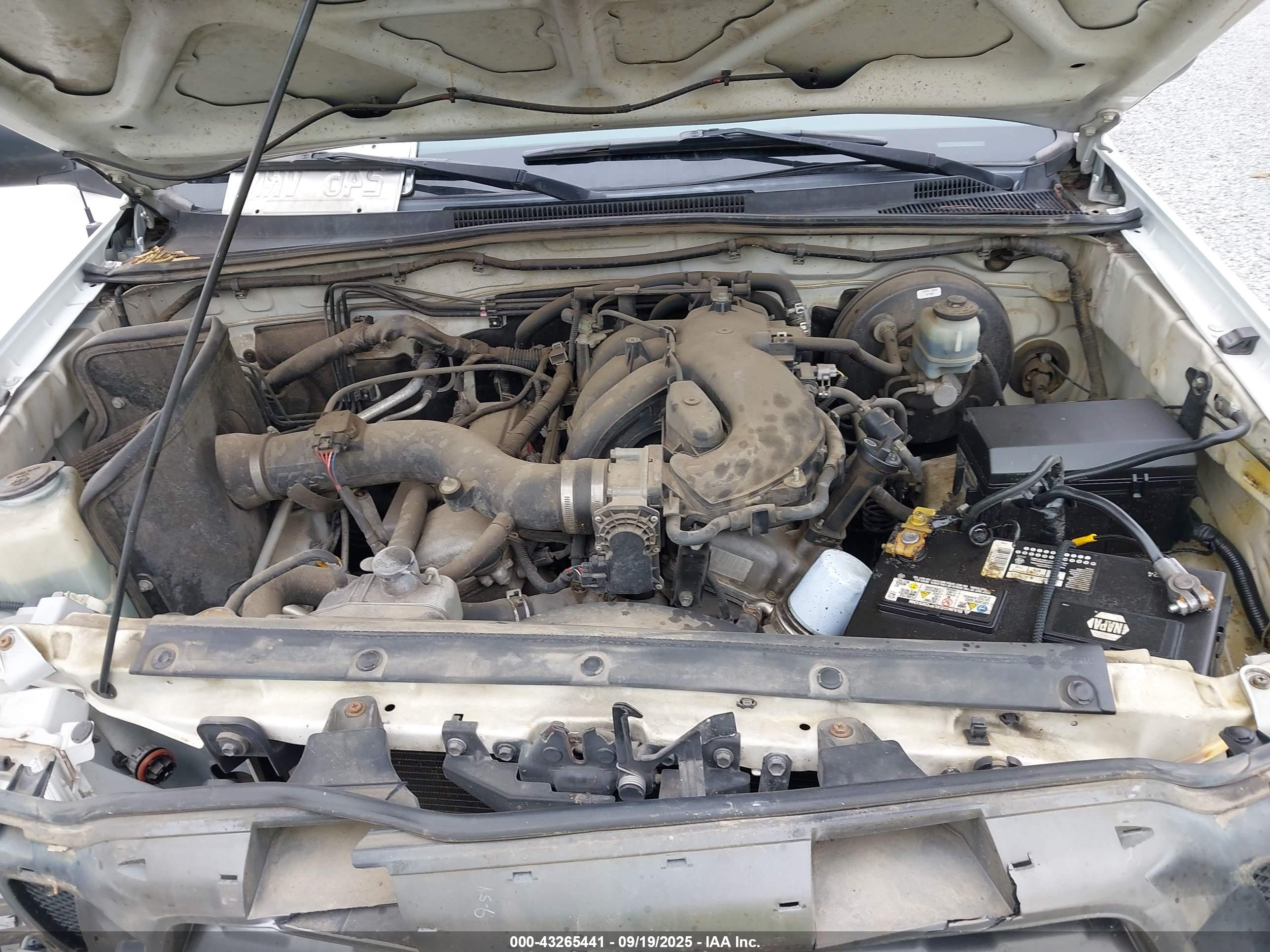 TOYOTA TACOMA image 10