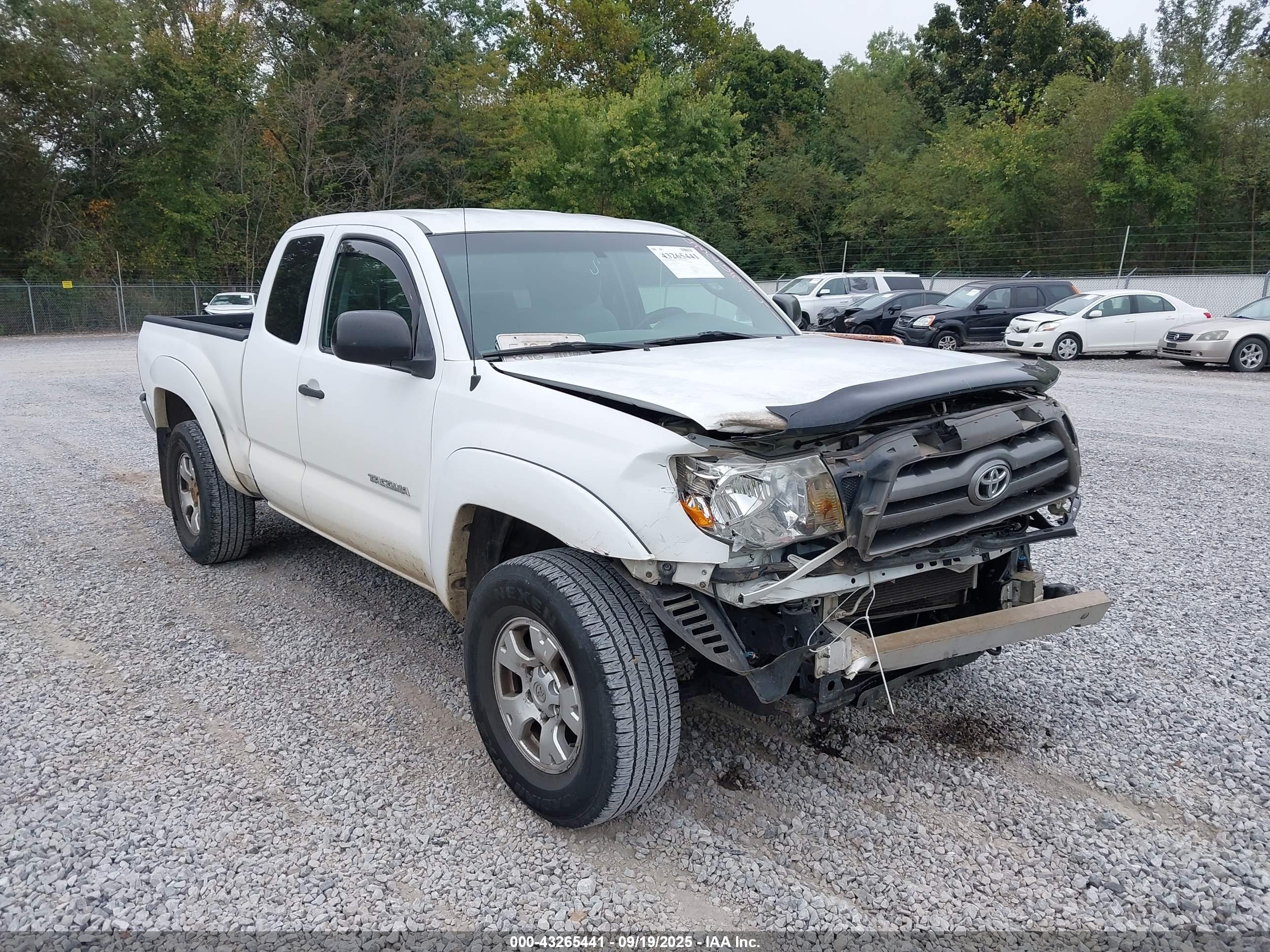 TOYOTA TACOMA image 6
