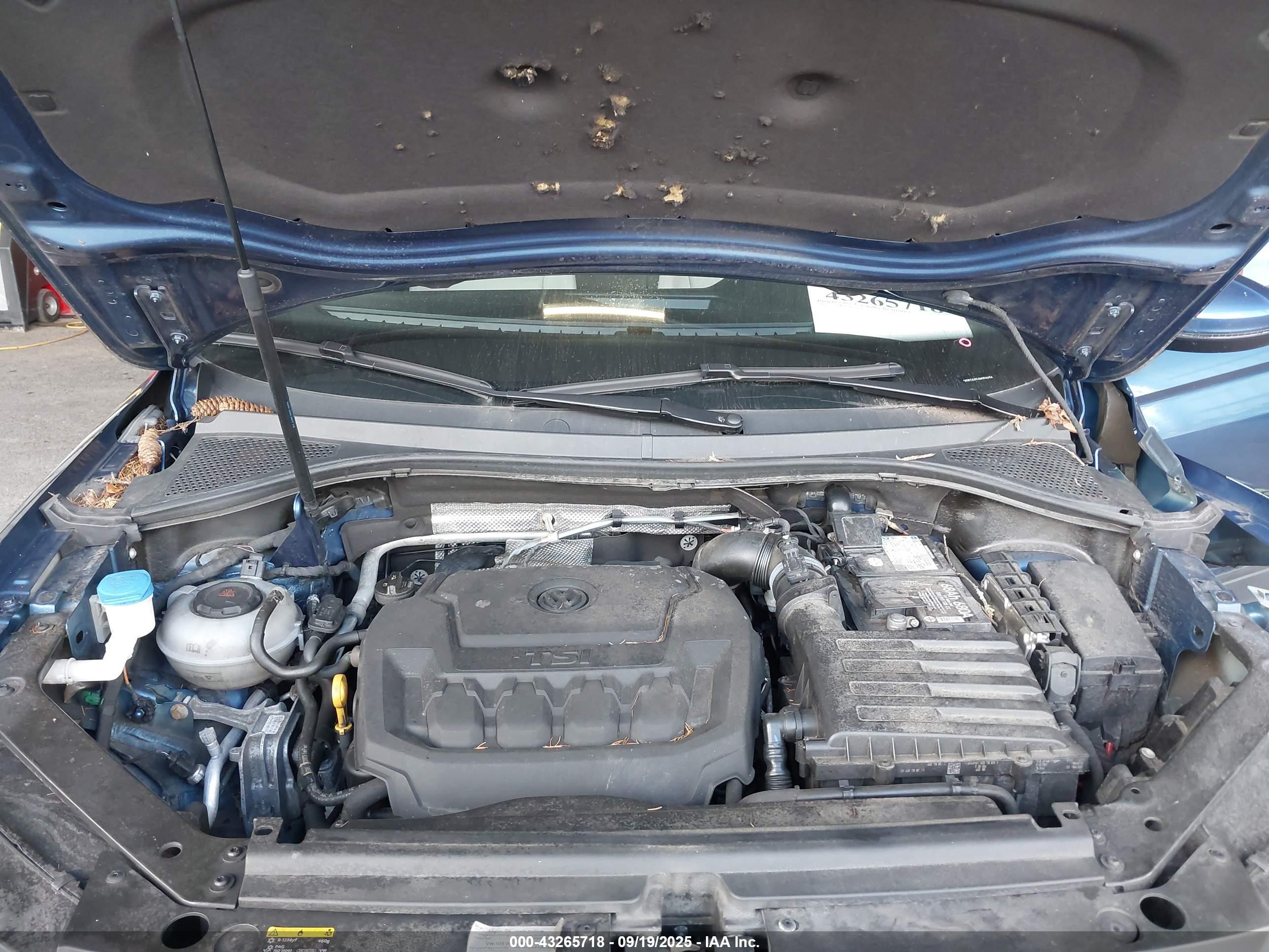 VOLKSWAGEN TIGUAN image 10