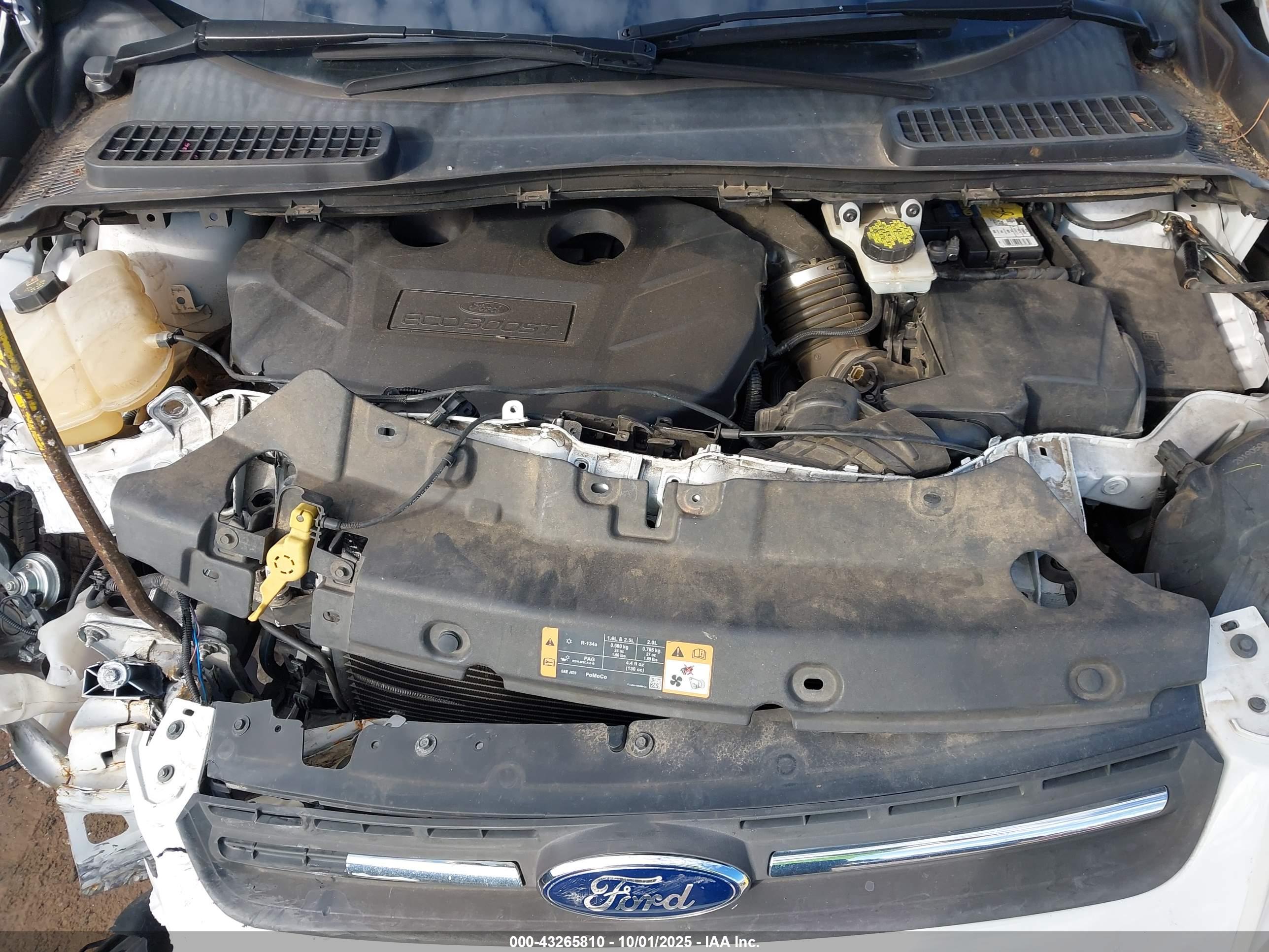 FORD ESCAPE image 10