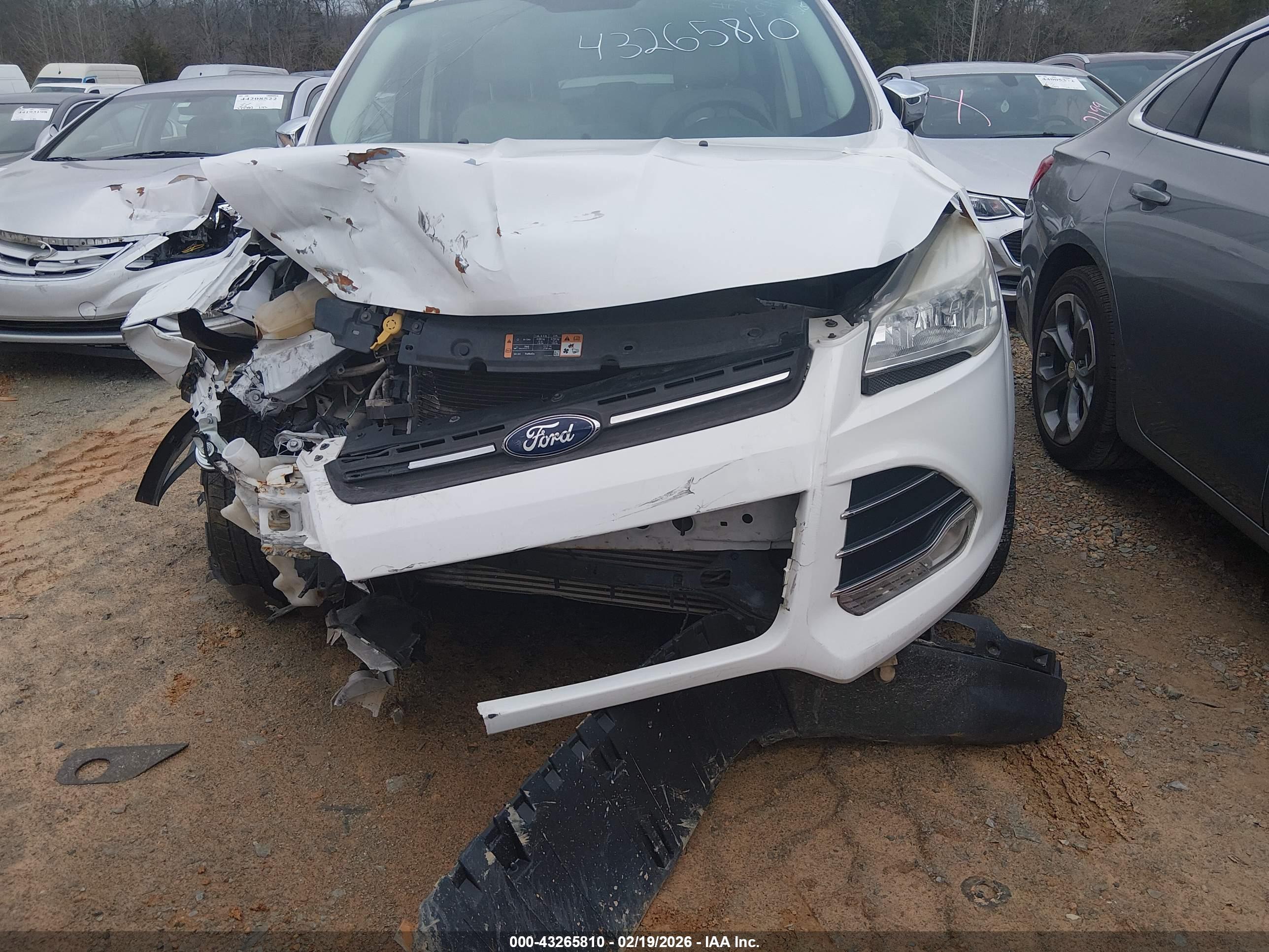 FORD ESCAPE image 6