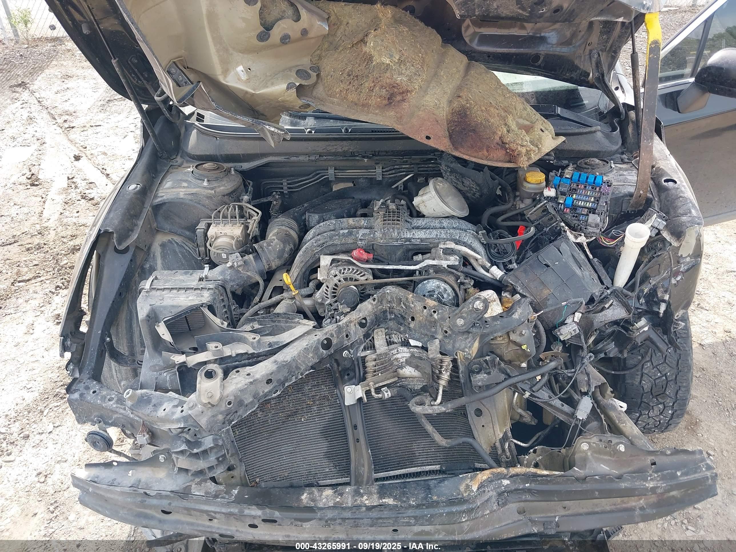 SUBARU OUTBACK image 10