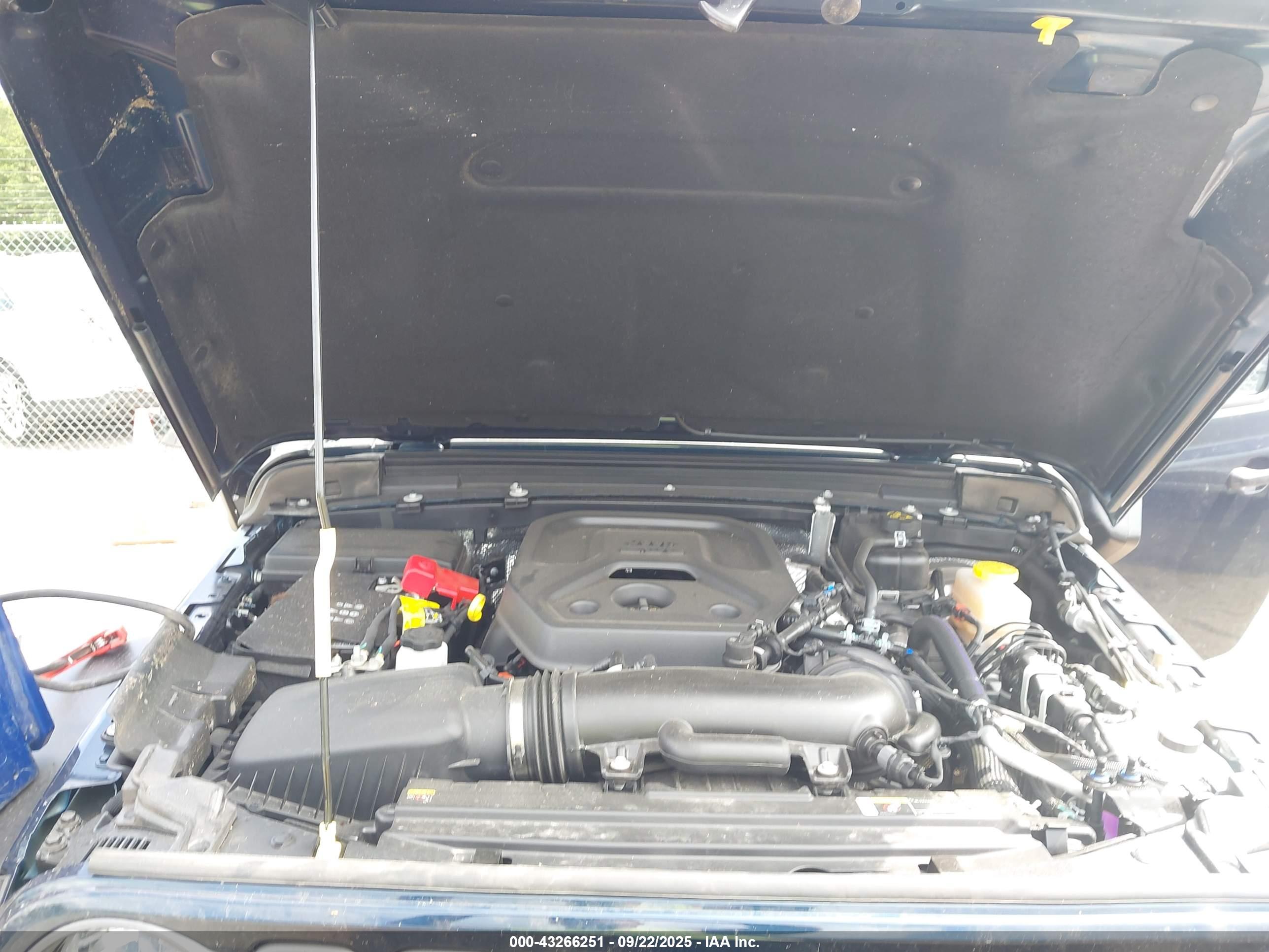 JEEP WRANGLER image 10