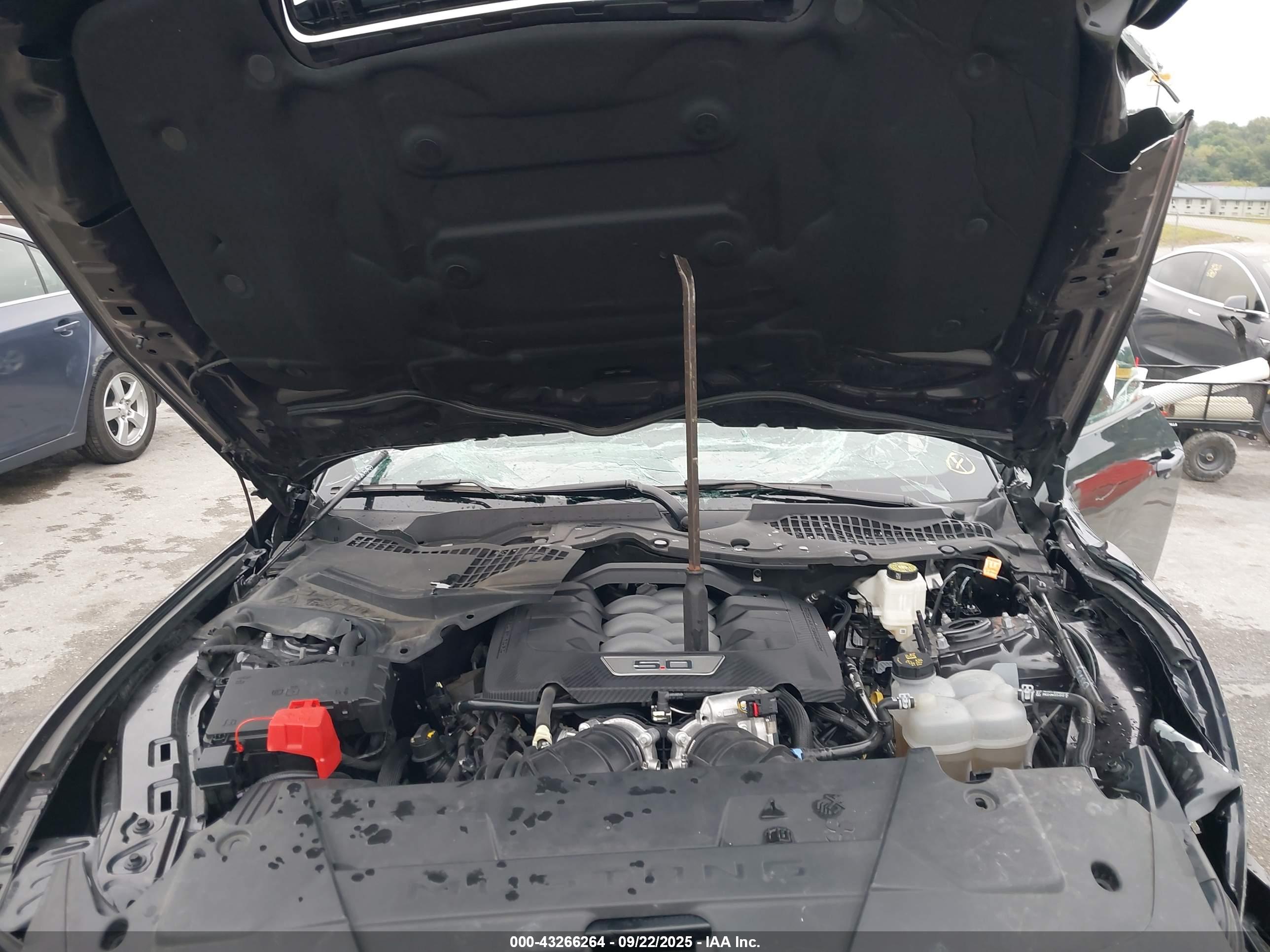 FORD MUSTANG image 10