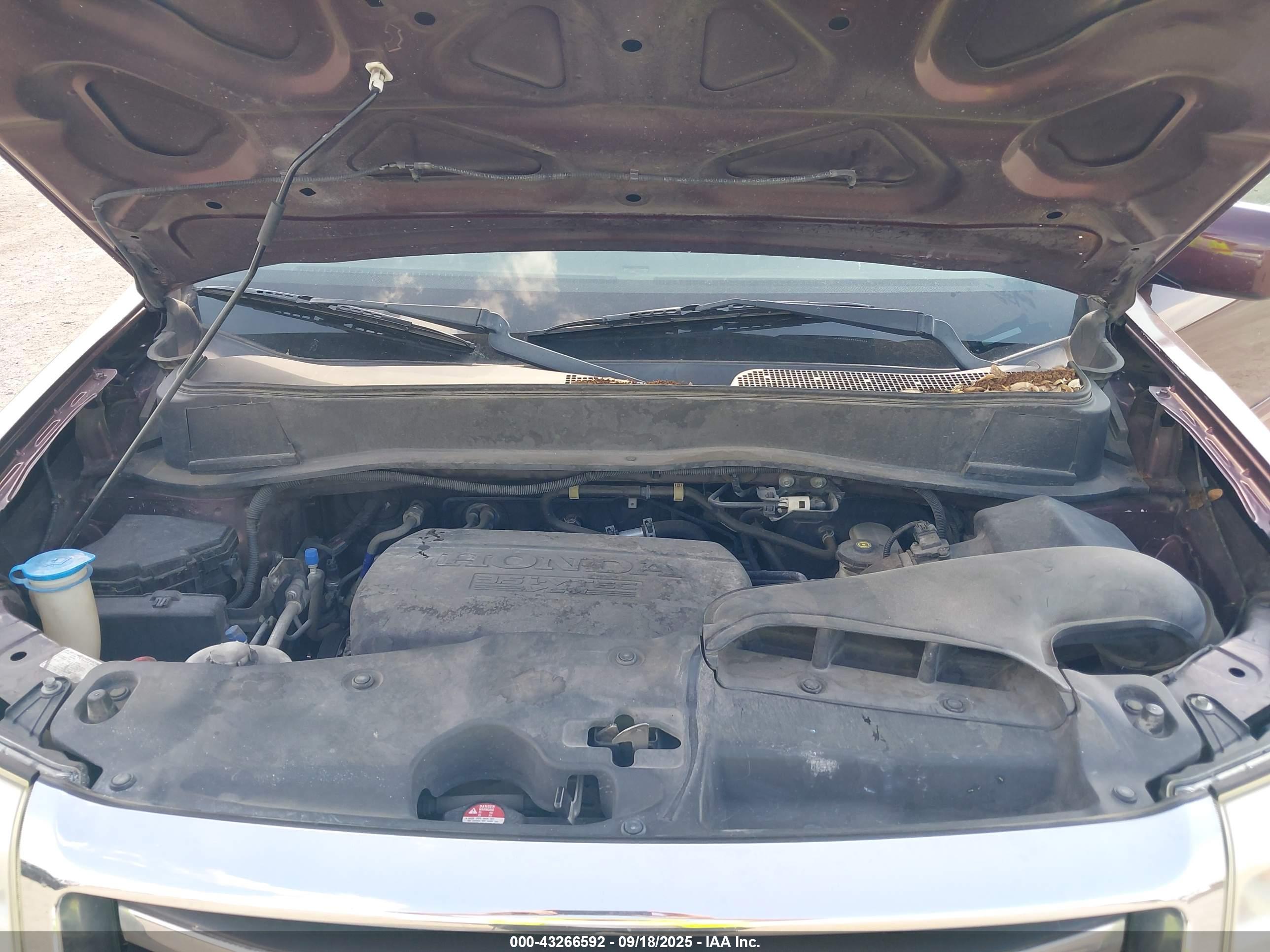 HONDA PILOT image 10