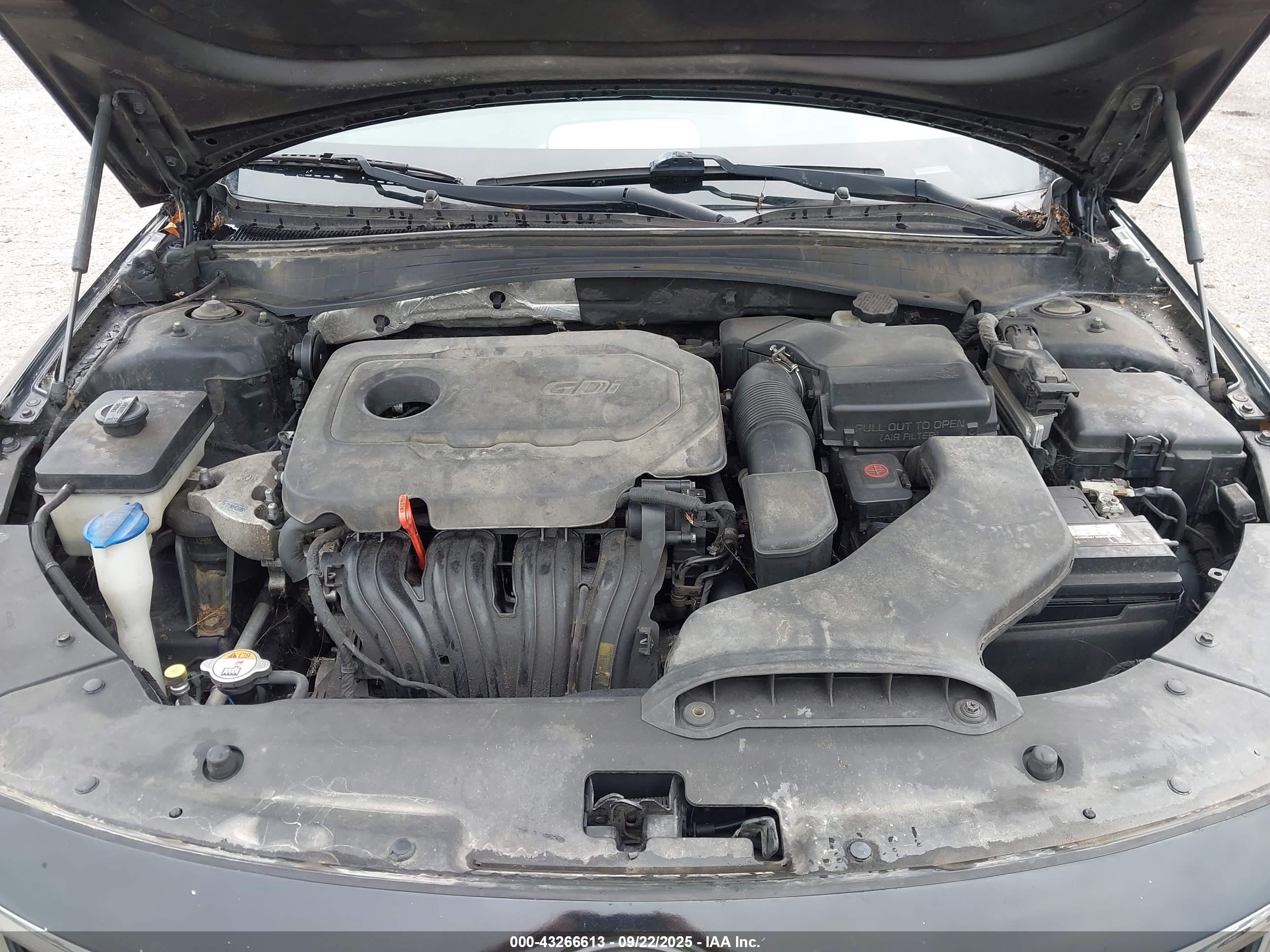 KIA OPTIMA image 10