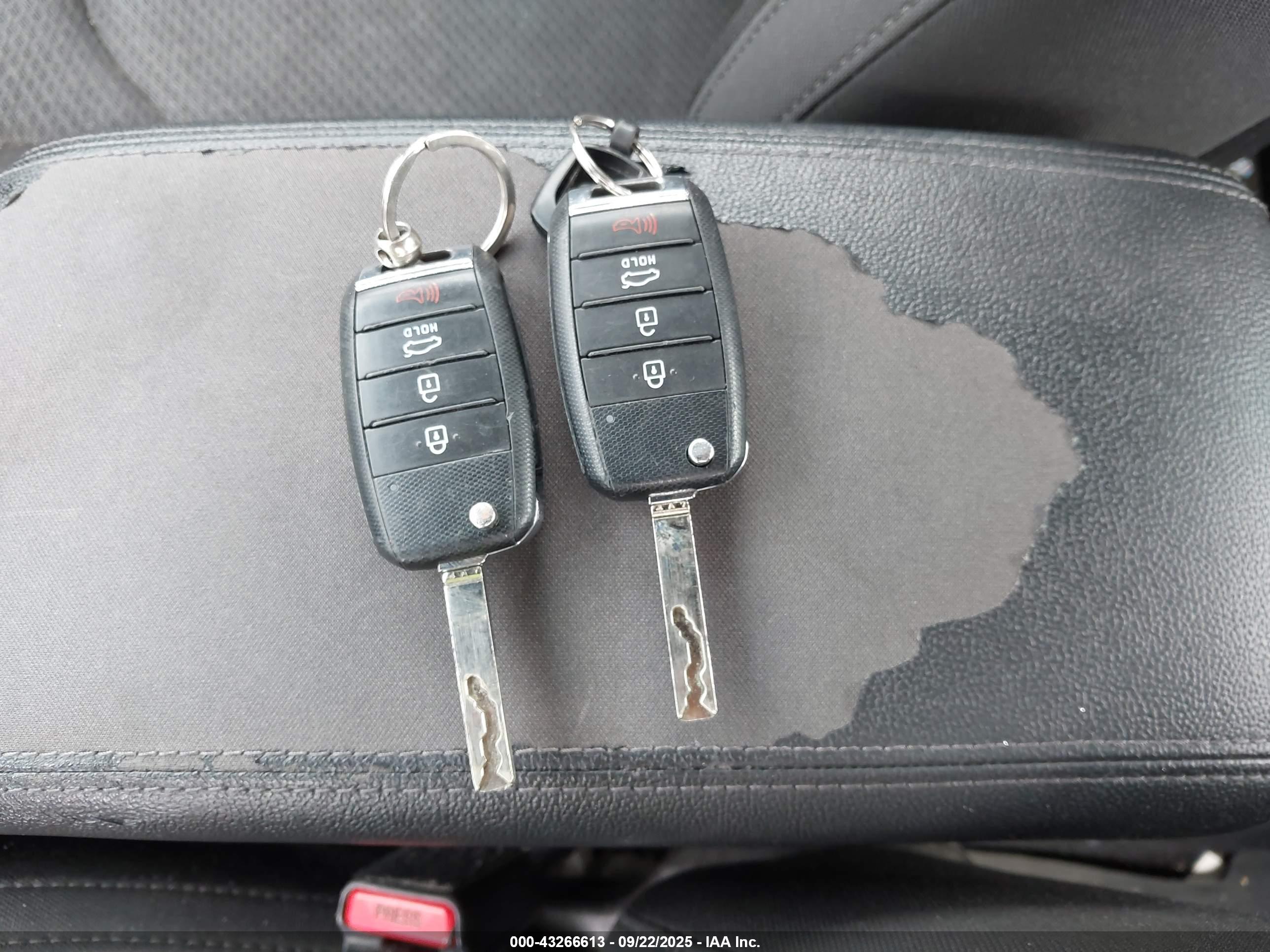KIA OPTIMA image 11