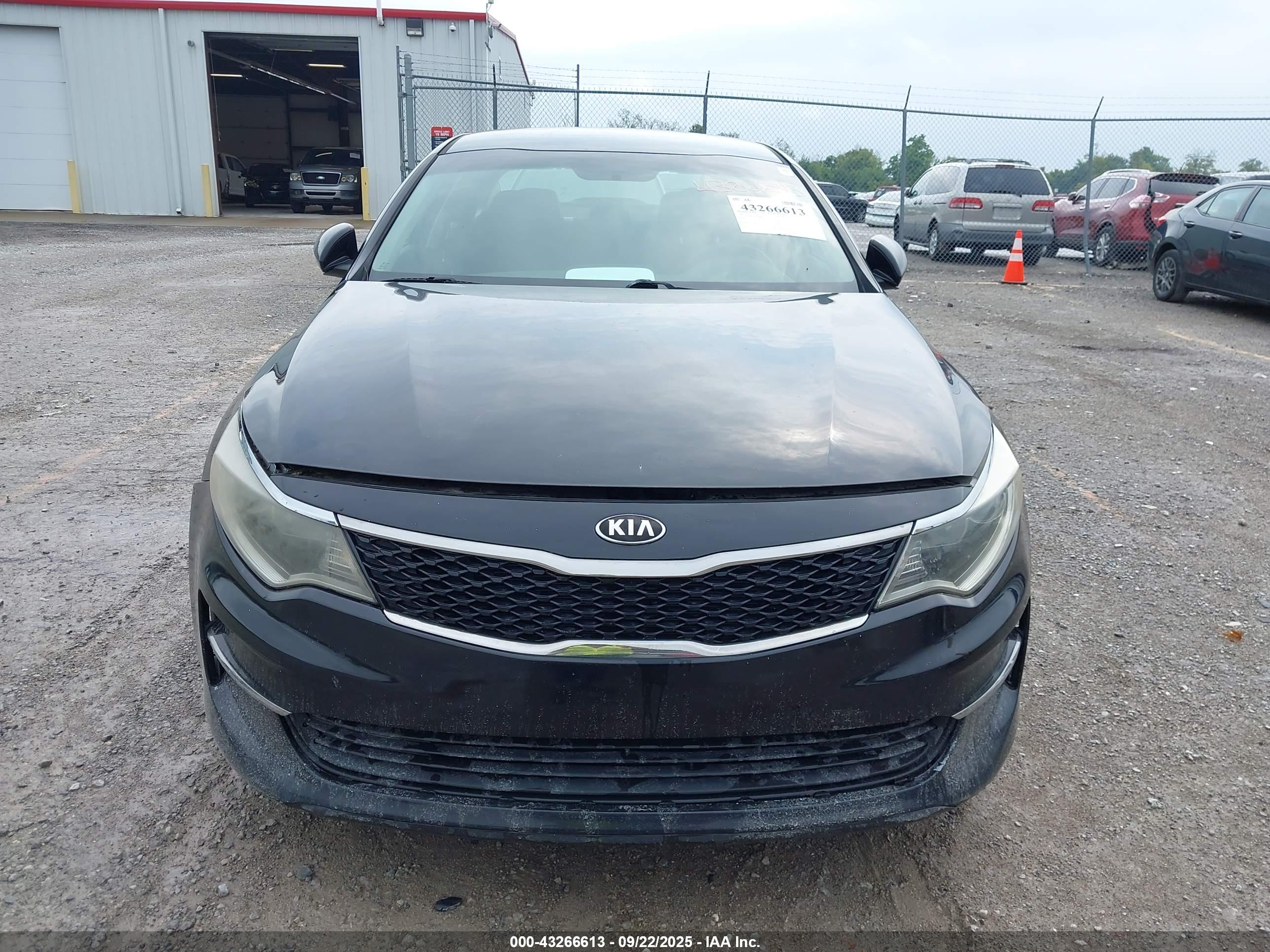 KIA OPTIMA image 6