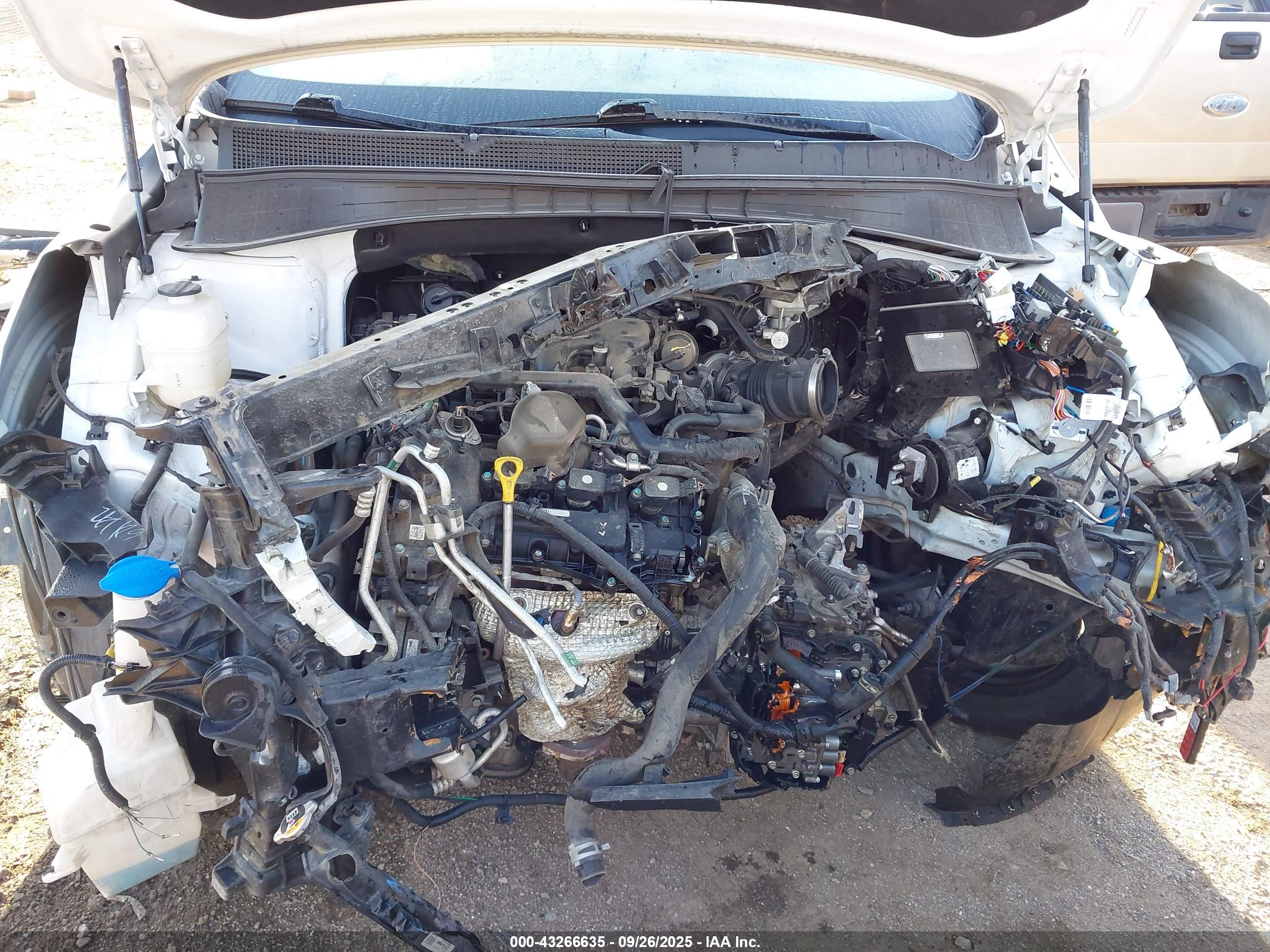 KIA SORENTO image 10